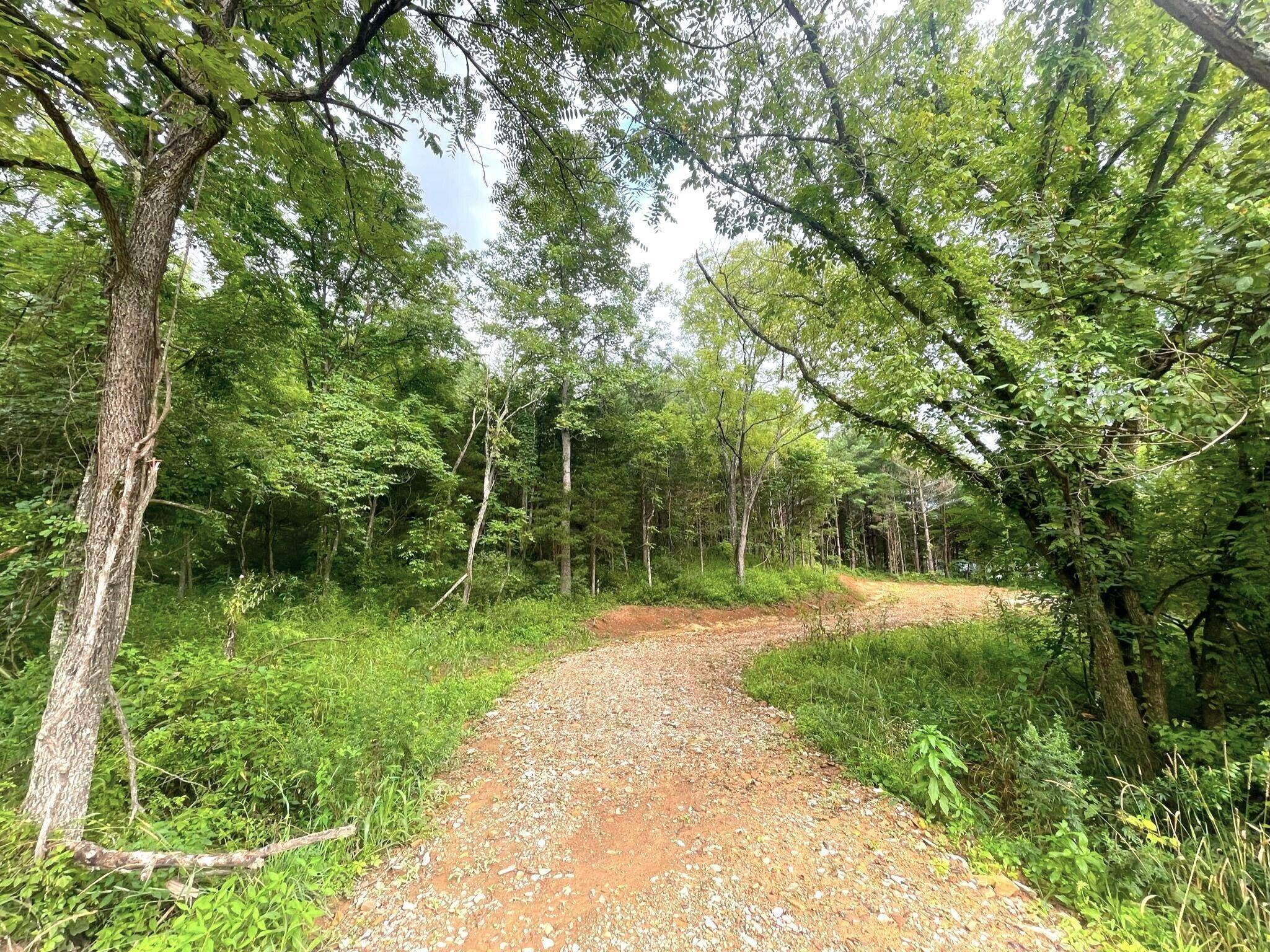 Peebles, OH 45660,5740 SR 781 #Lot# 4