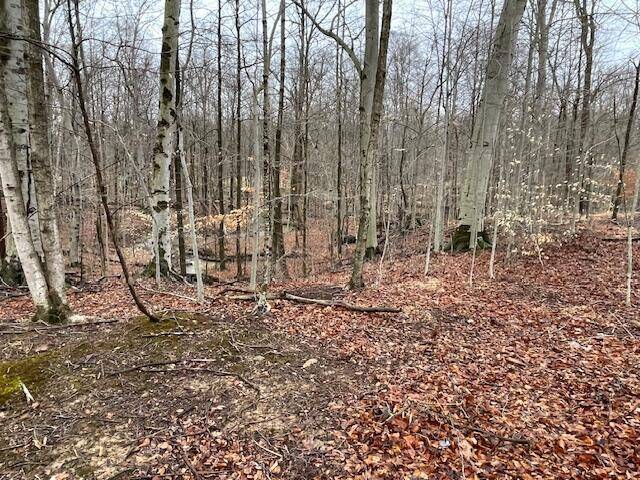 Mount Gilead, OH 43338,7326 State Route 19, #Unit 10 Lot 192