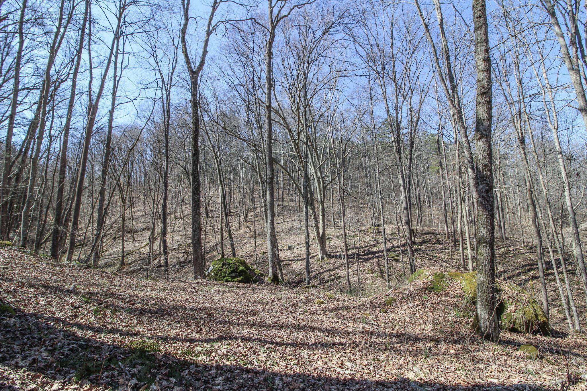 Sardis, OH 43946,0 Township Road 502