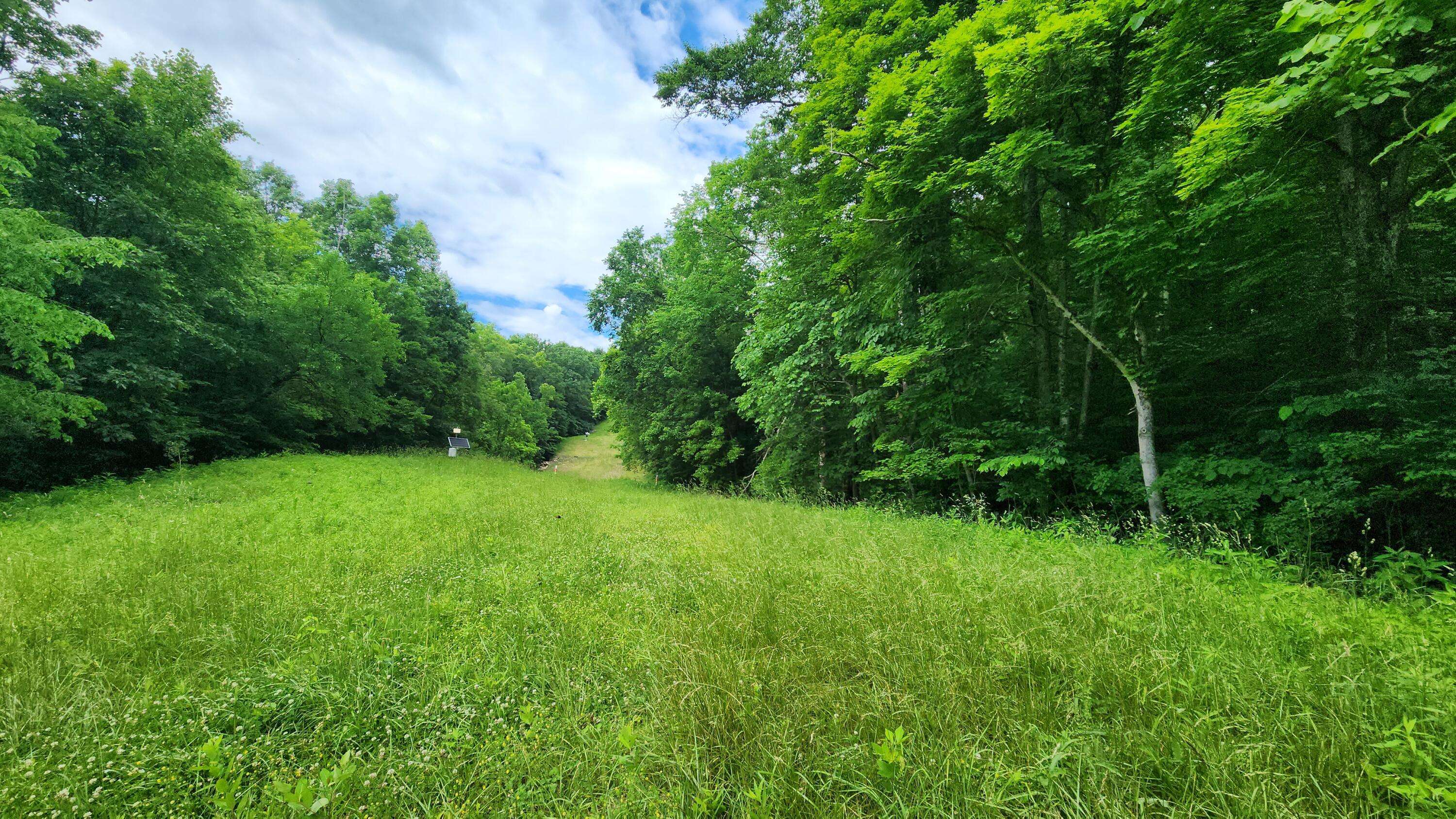 Glouster, OH 45732,0 Pounds Road #(Tract 2 Pounds Road)