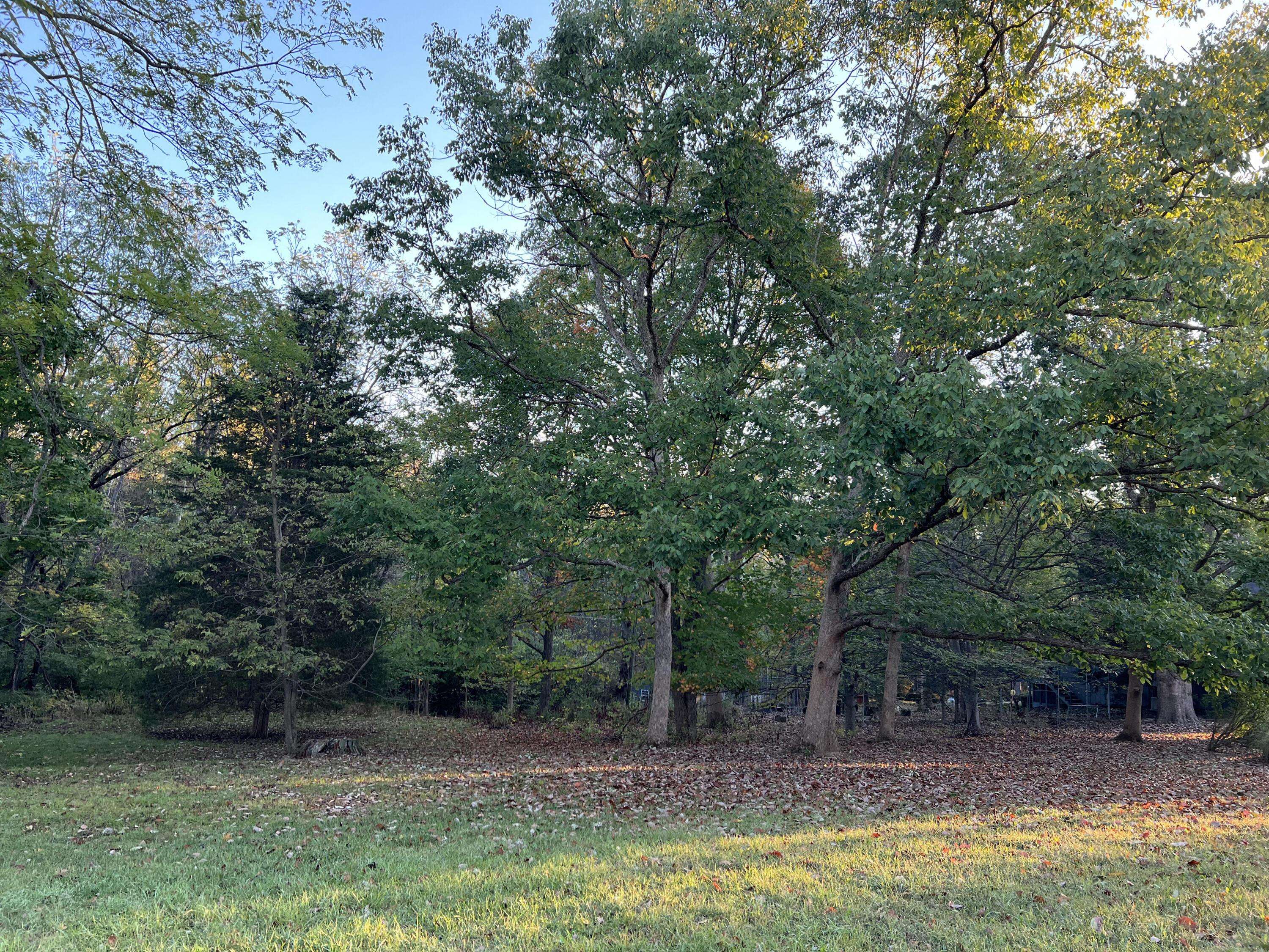 Powell, OH 43065,462 Carriage Road