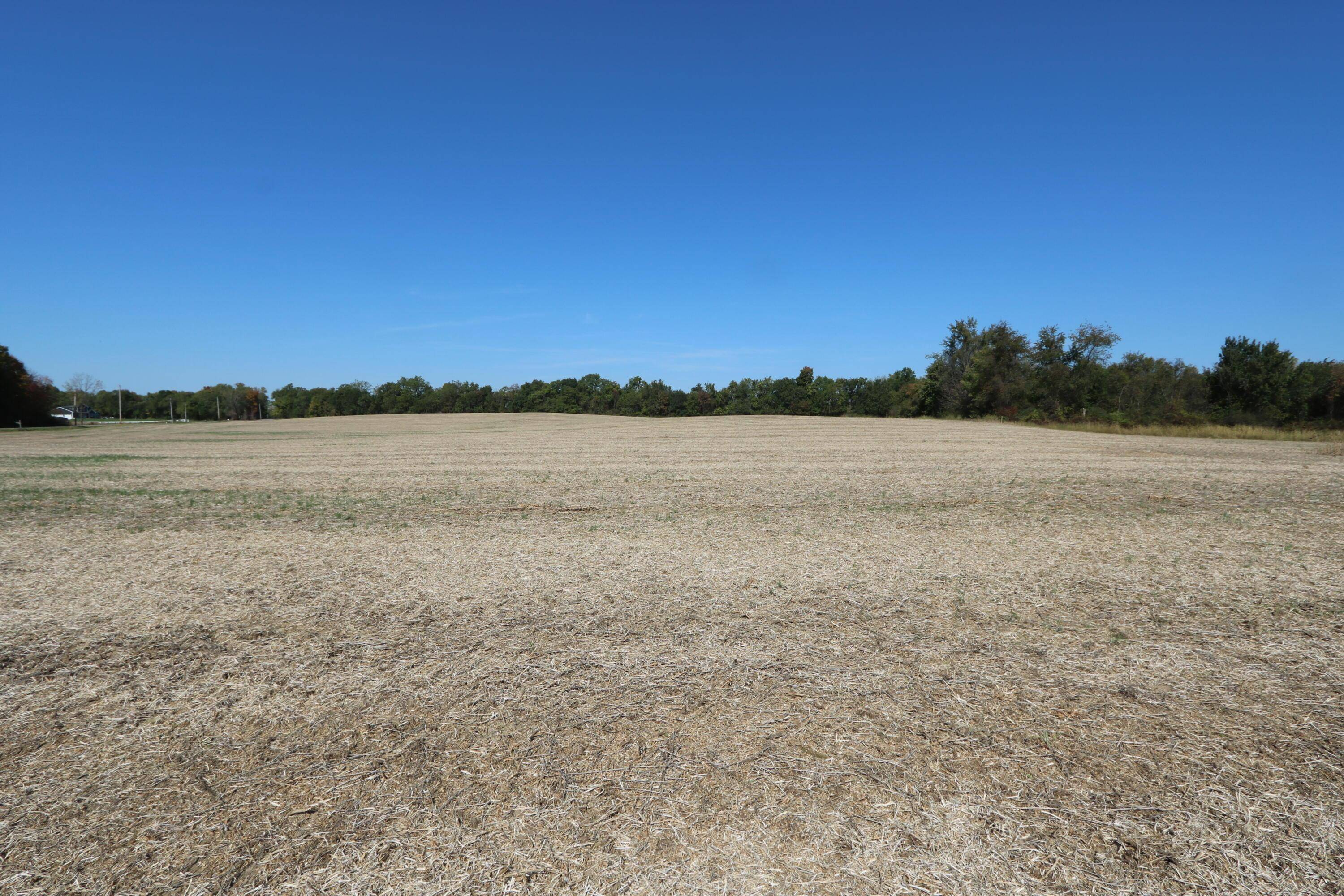 Centerburg, OH 43011,0 Vanatta Road #Lot 4