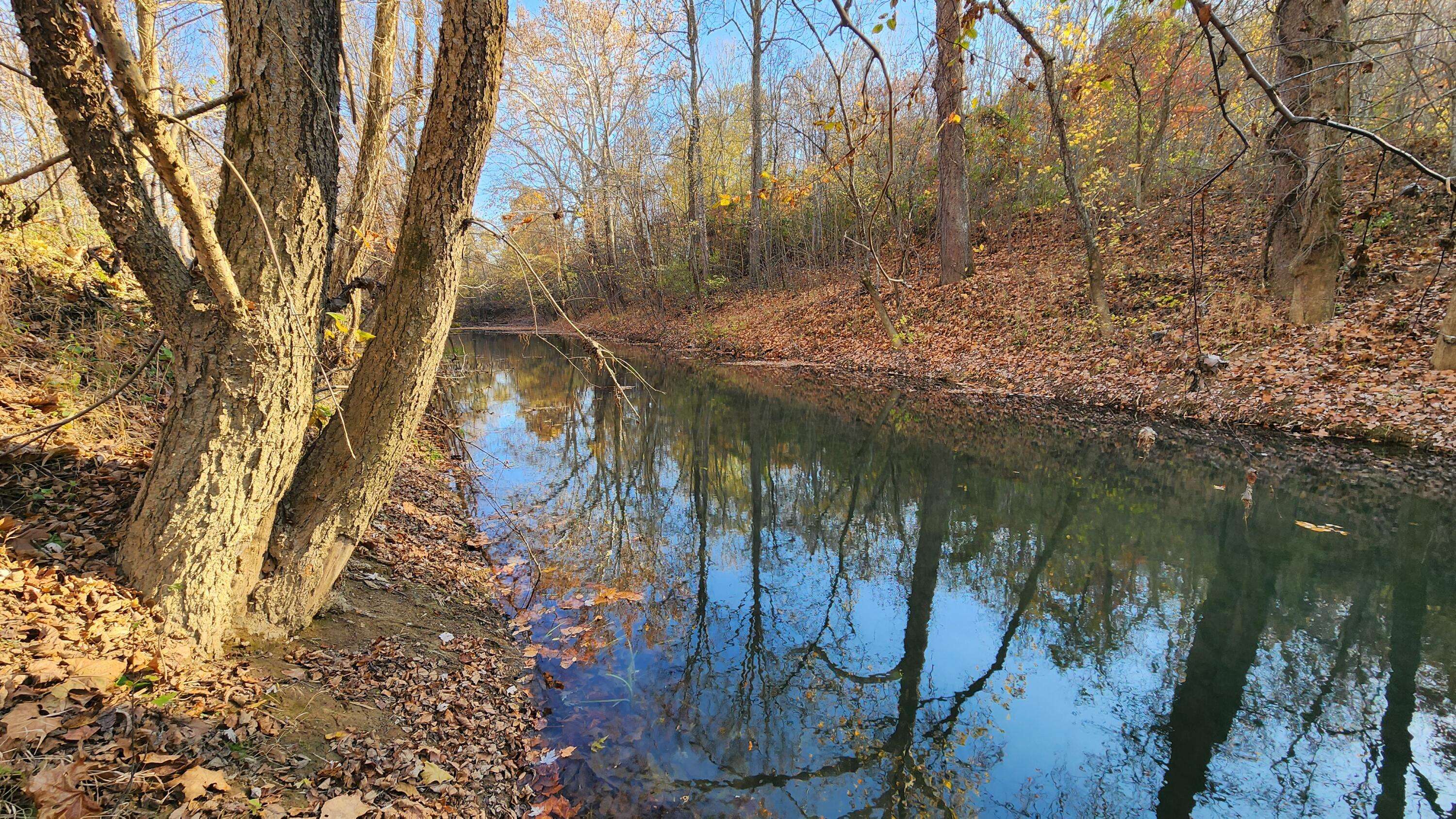 Nelsonville, OH 45764,0 Brady Road #(Tract 3 Brady Rd)