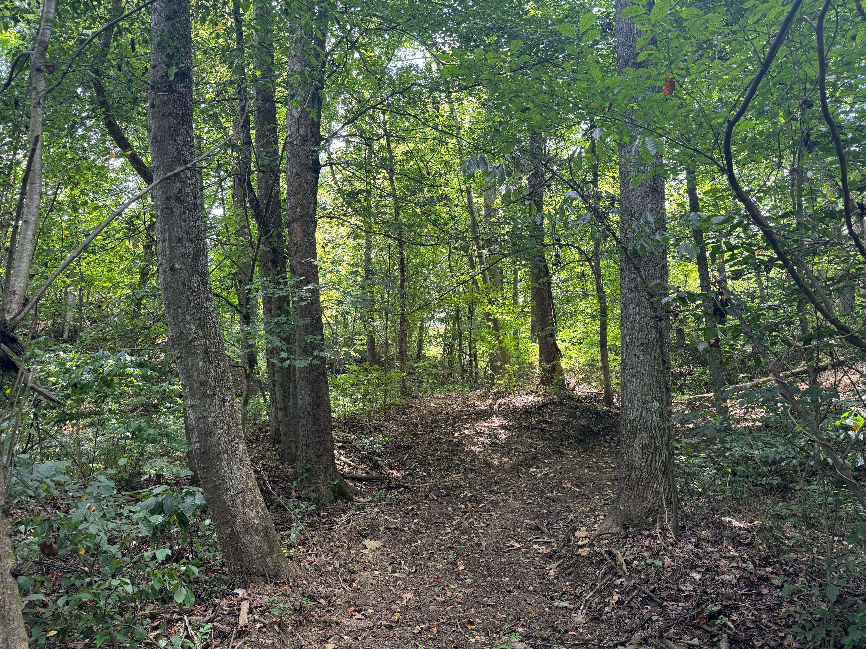 Albany, OH 45710,34865 SR 681 #(Tract 7 Albany Woods)