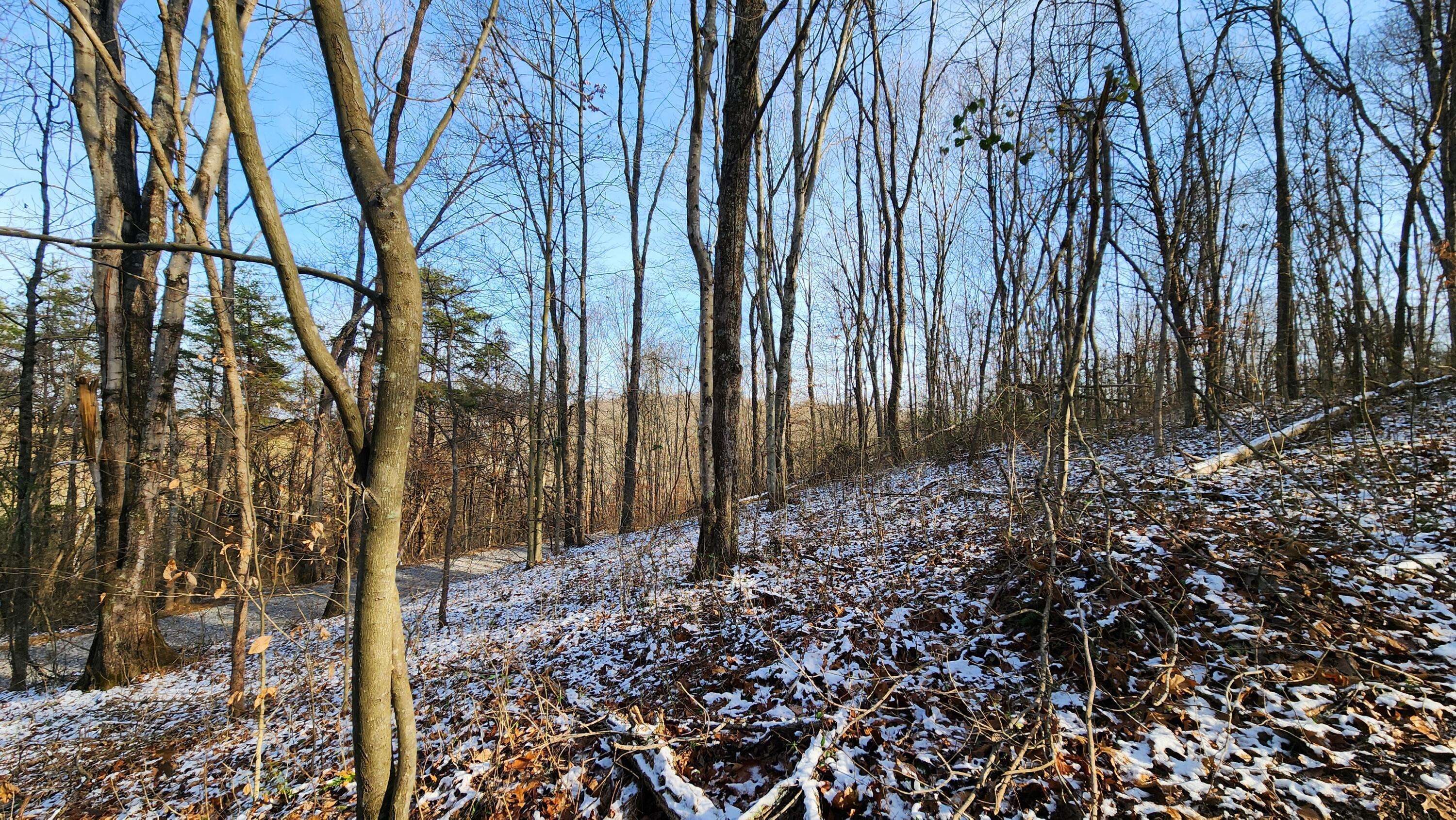 Langsville, OH 45741,0 Red Hill Road #(7 Acres at Big Timber)