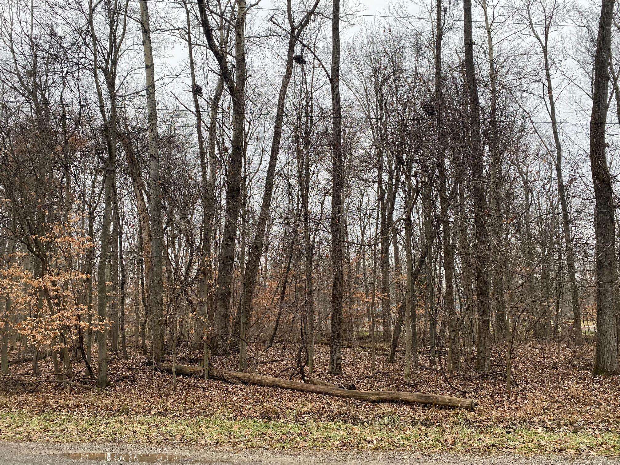 Mount Gilead, OH 43338,7326 State Route 19 #Unit 9, Lot 2