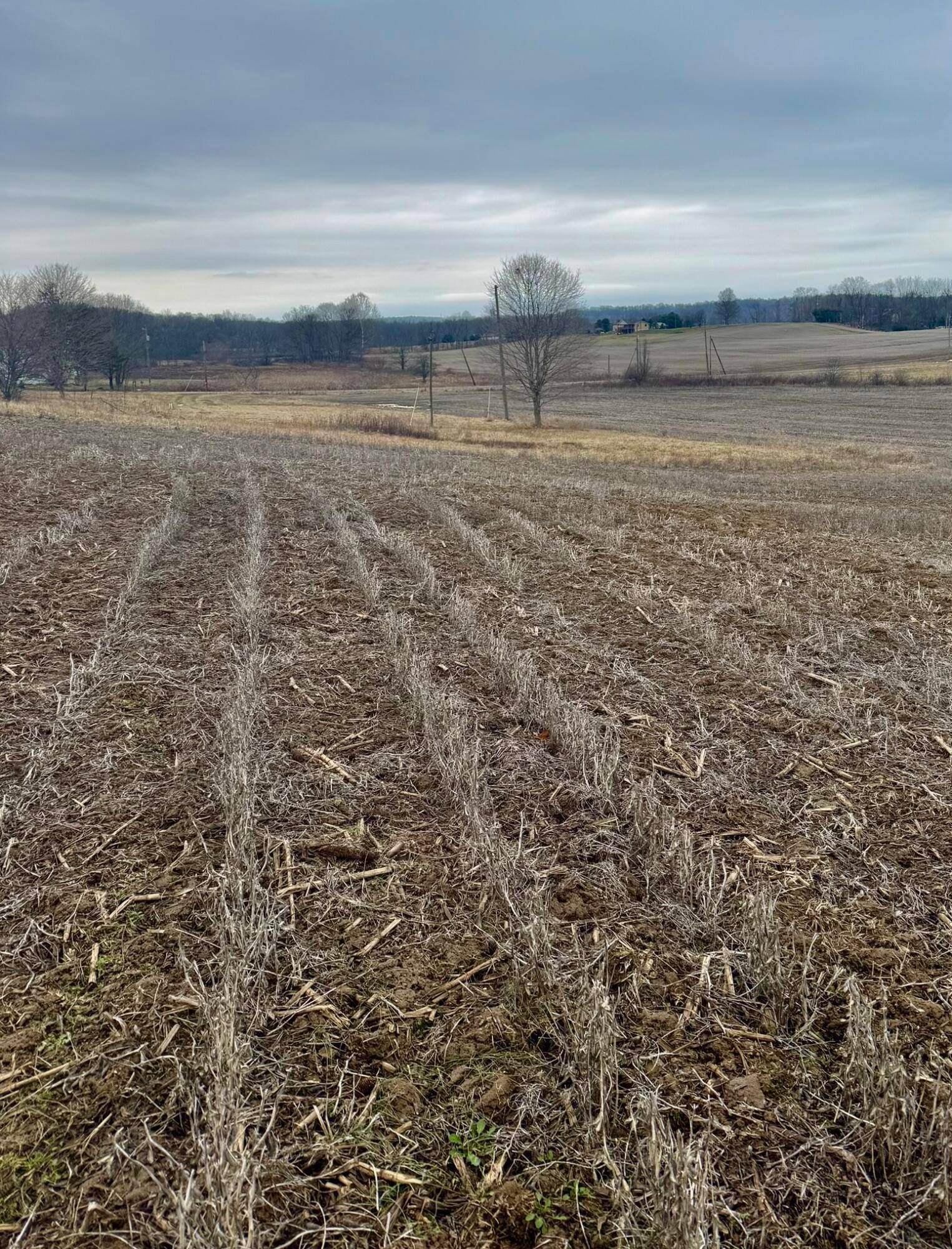 Mount Perry, OH 43760,11631 Rankin Road