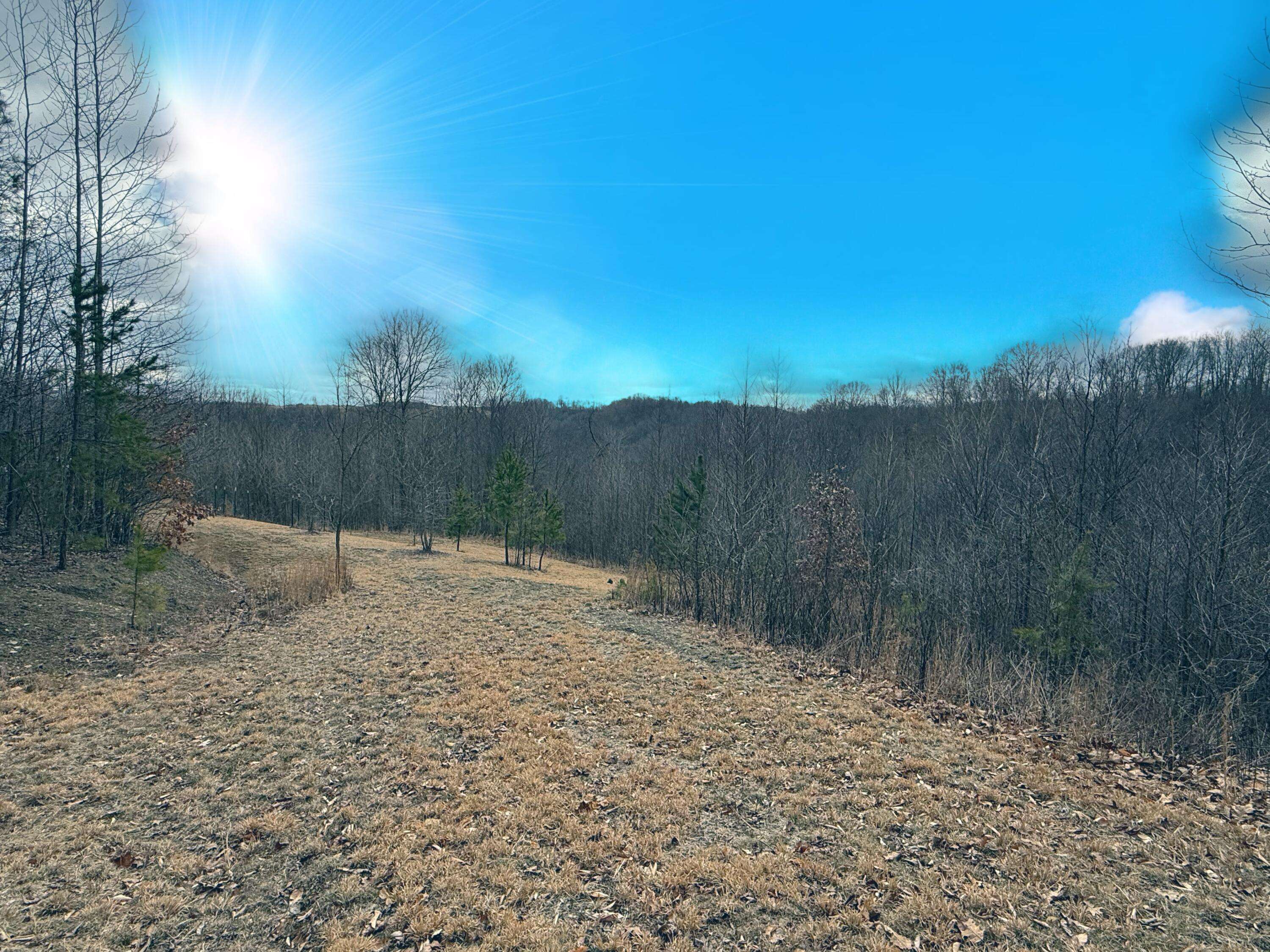 New Lexington, OH 43764,0 Pole Cat Road