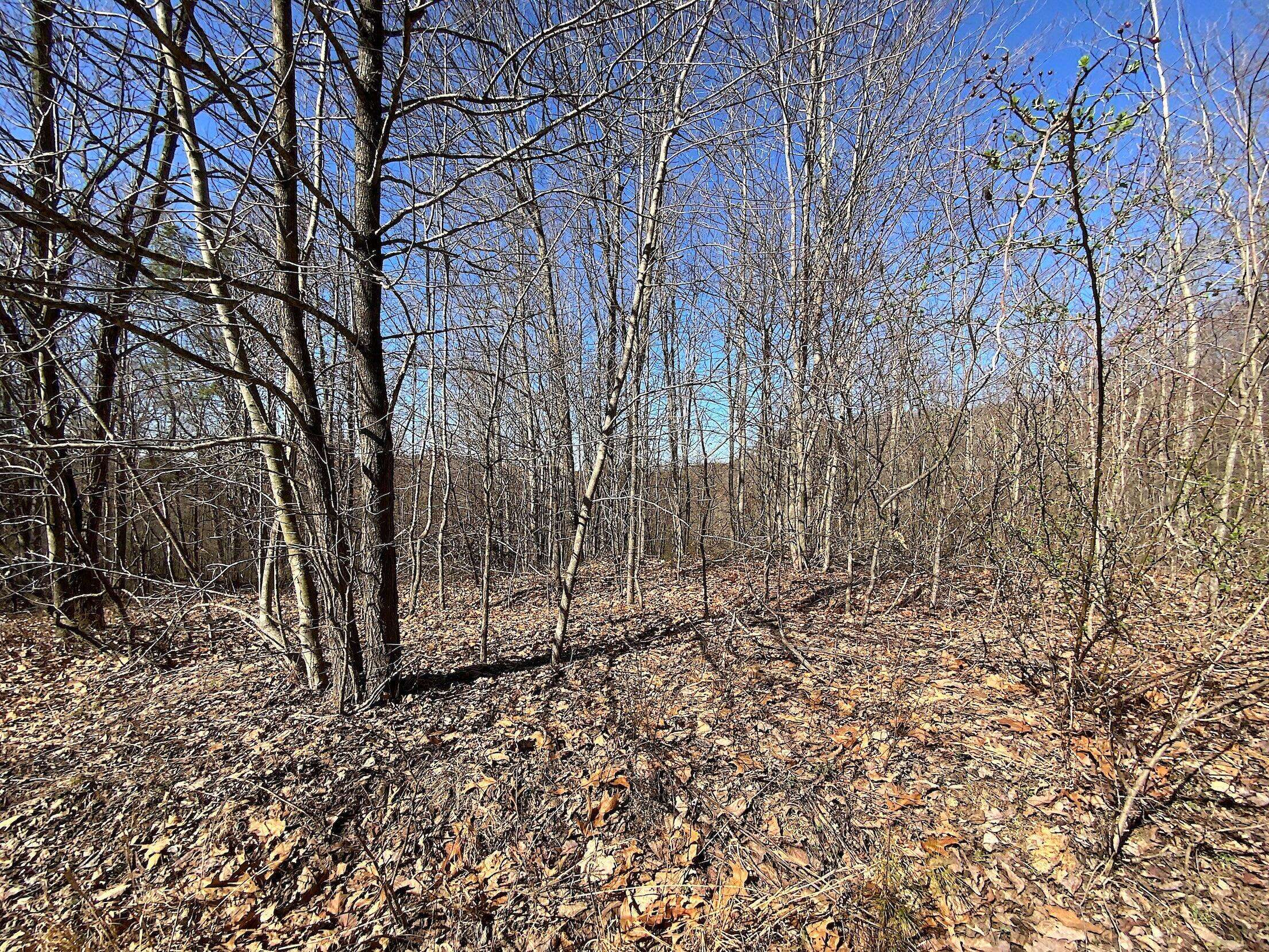 Ray, OH 45672,0 Kelly Road