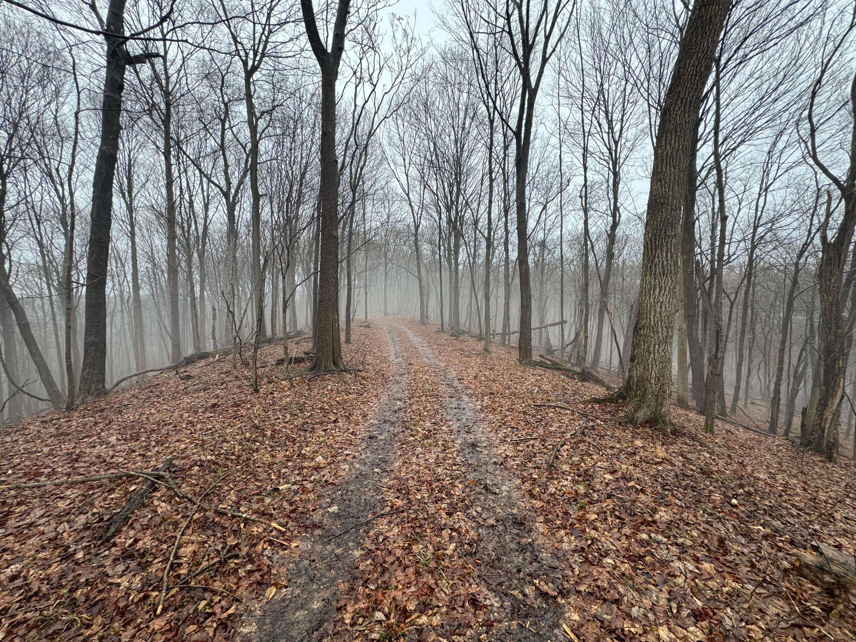 Pomeroy, OH 45769,32290 Bailey Run Road