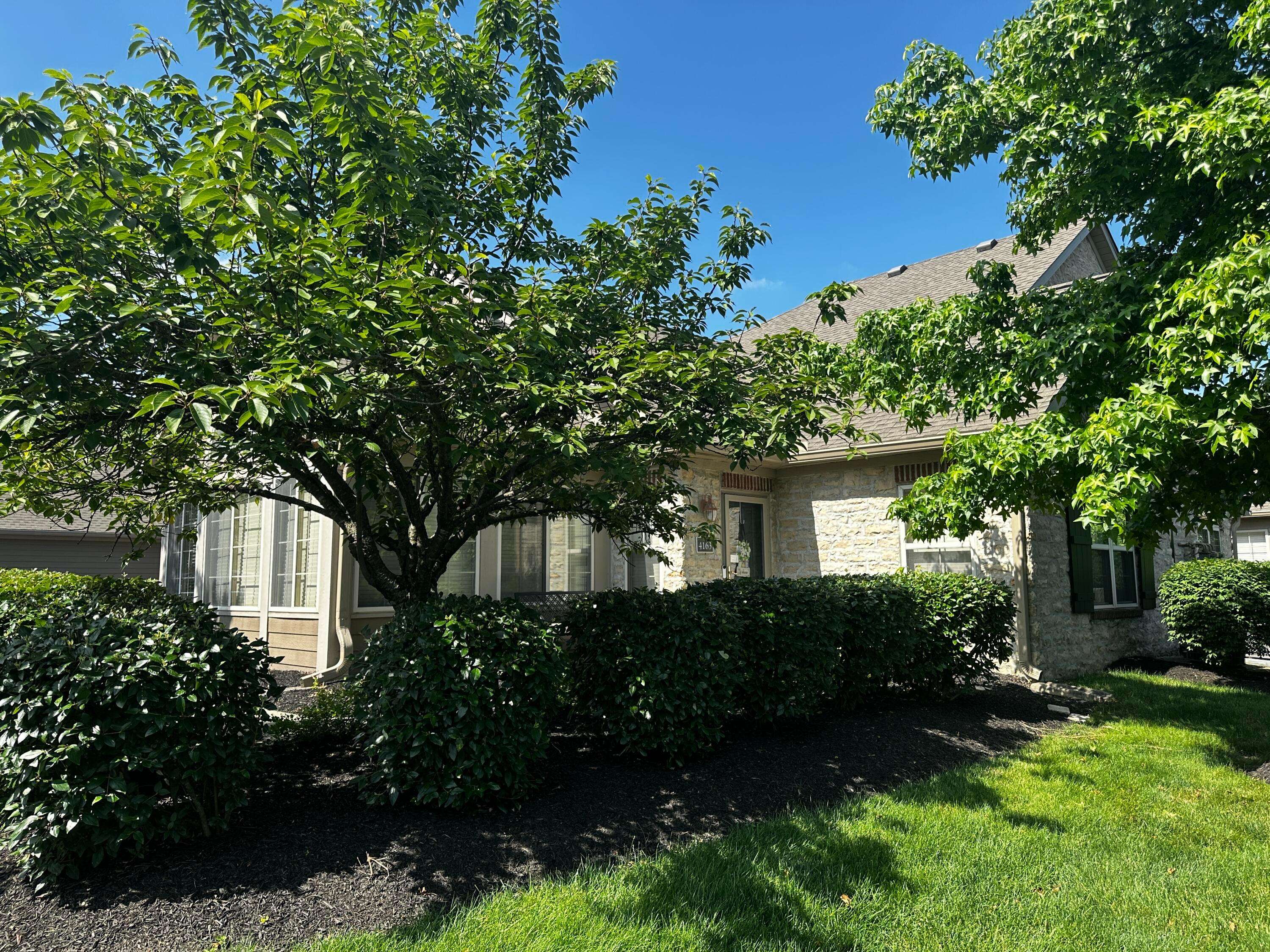 New Albany, OH 43054,4163 Windbud Drive