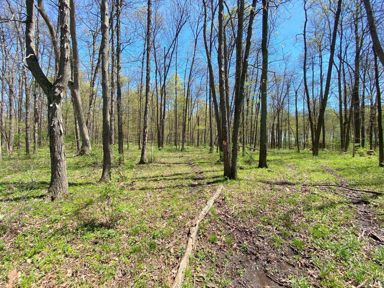 West Liberty, OH 43357,Township Road 164