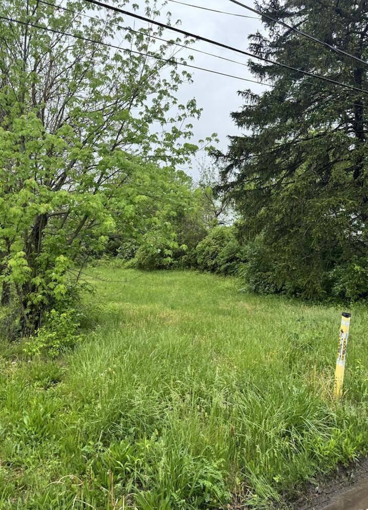 Columbus, OH 43207,572 Elwood Avenue #Lot 113