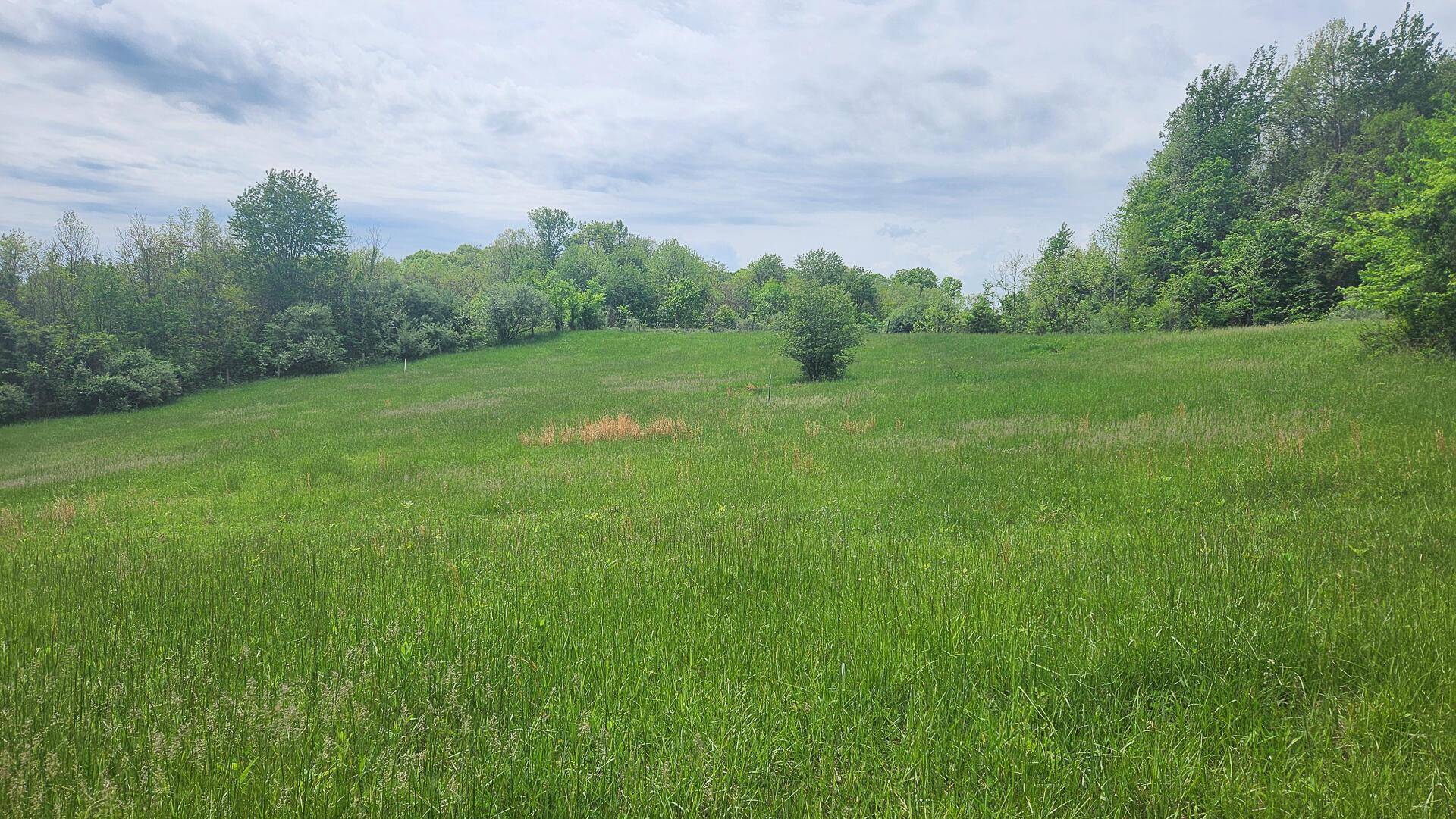Albany, OH 45710,0 SR 684 Road #(Tract 5 Albany Woods)