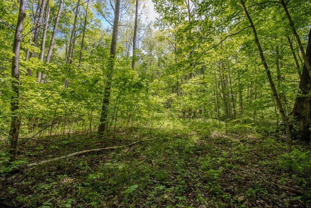 Bainbridge, OH 45612,0 Kinzer Road