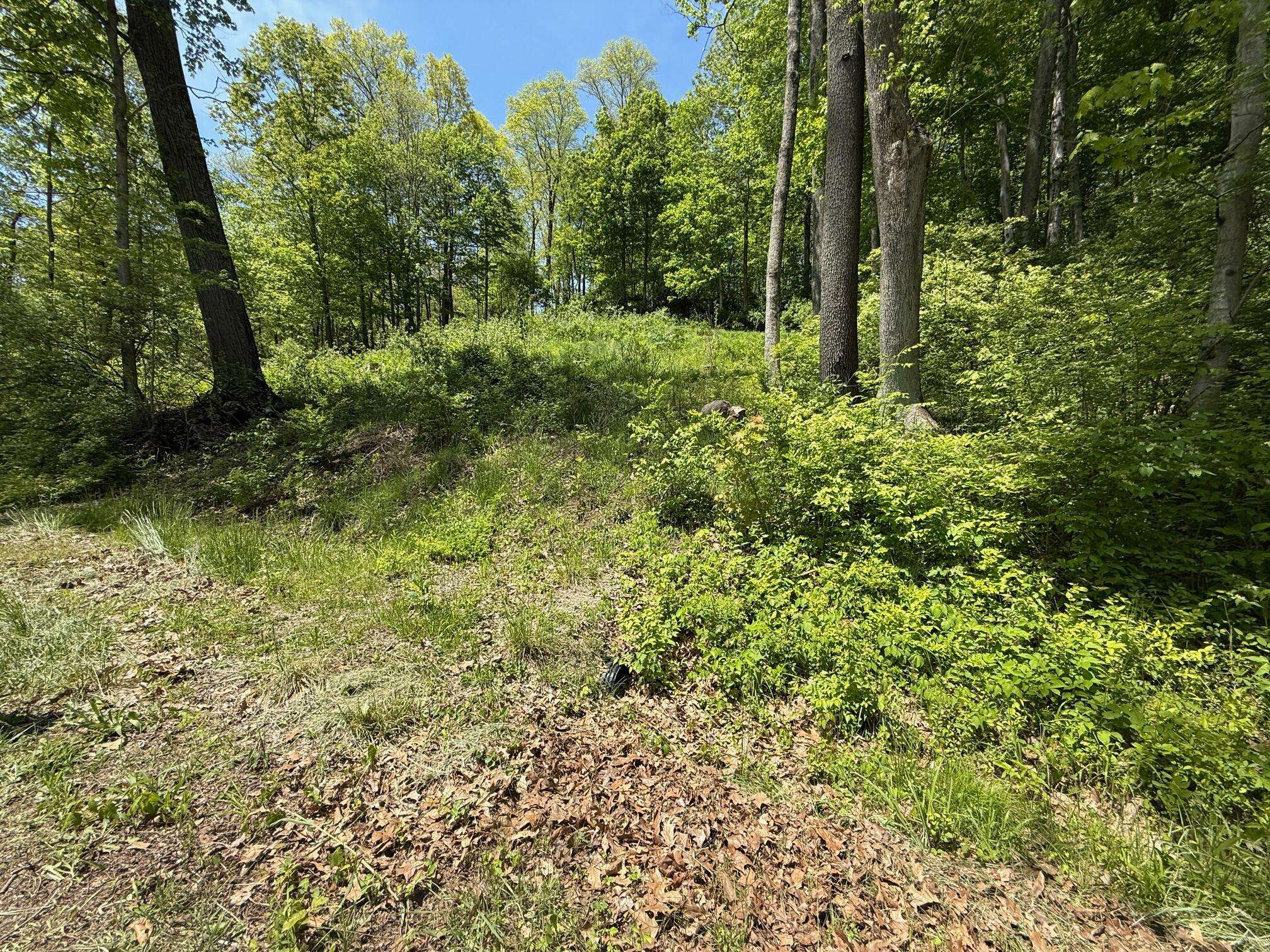 Thornville, OH 43076,178 Avon Place