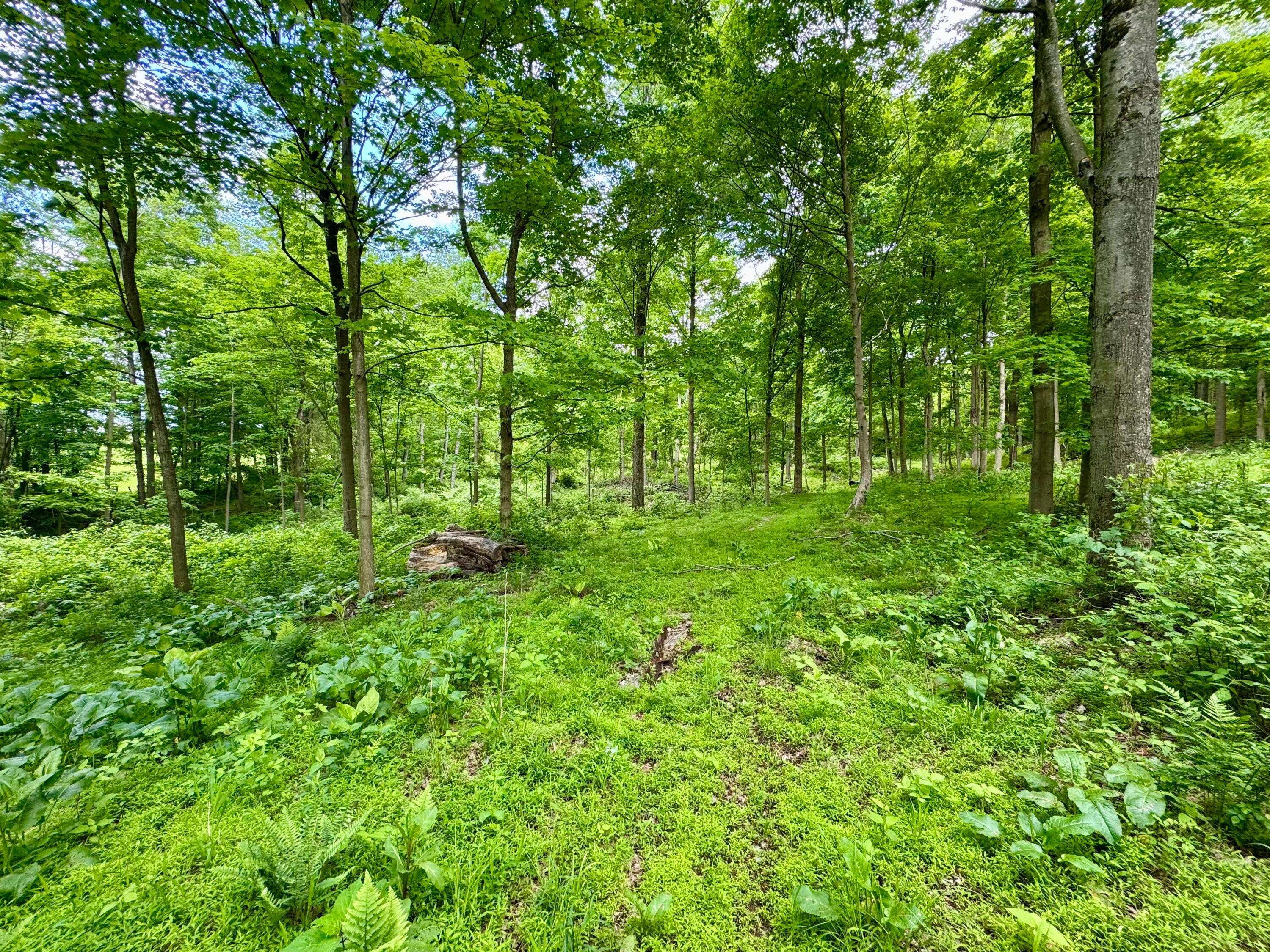 Frazeysburg, OH 43822,29186 Aspen Road