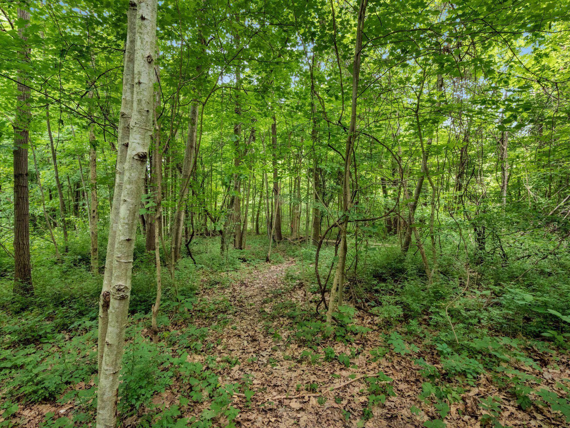 Cardington, OH 43315,4015 County Road 25