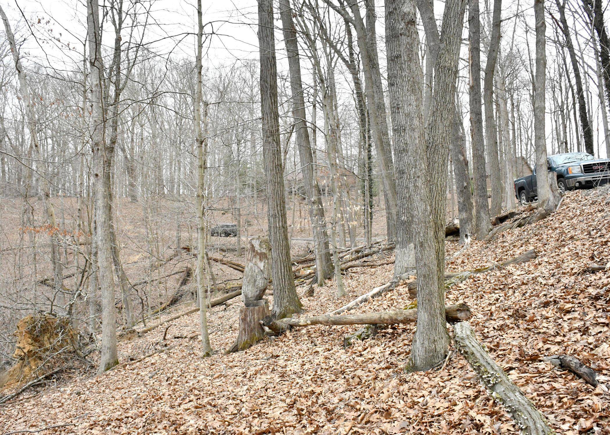 Bremen, OH 43107,599600 Navajo Lane