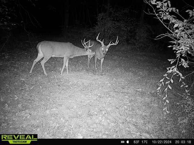 Frankfort, OH 45628,1650 Simmons Road