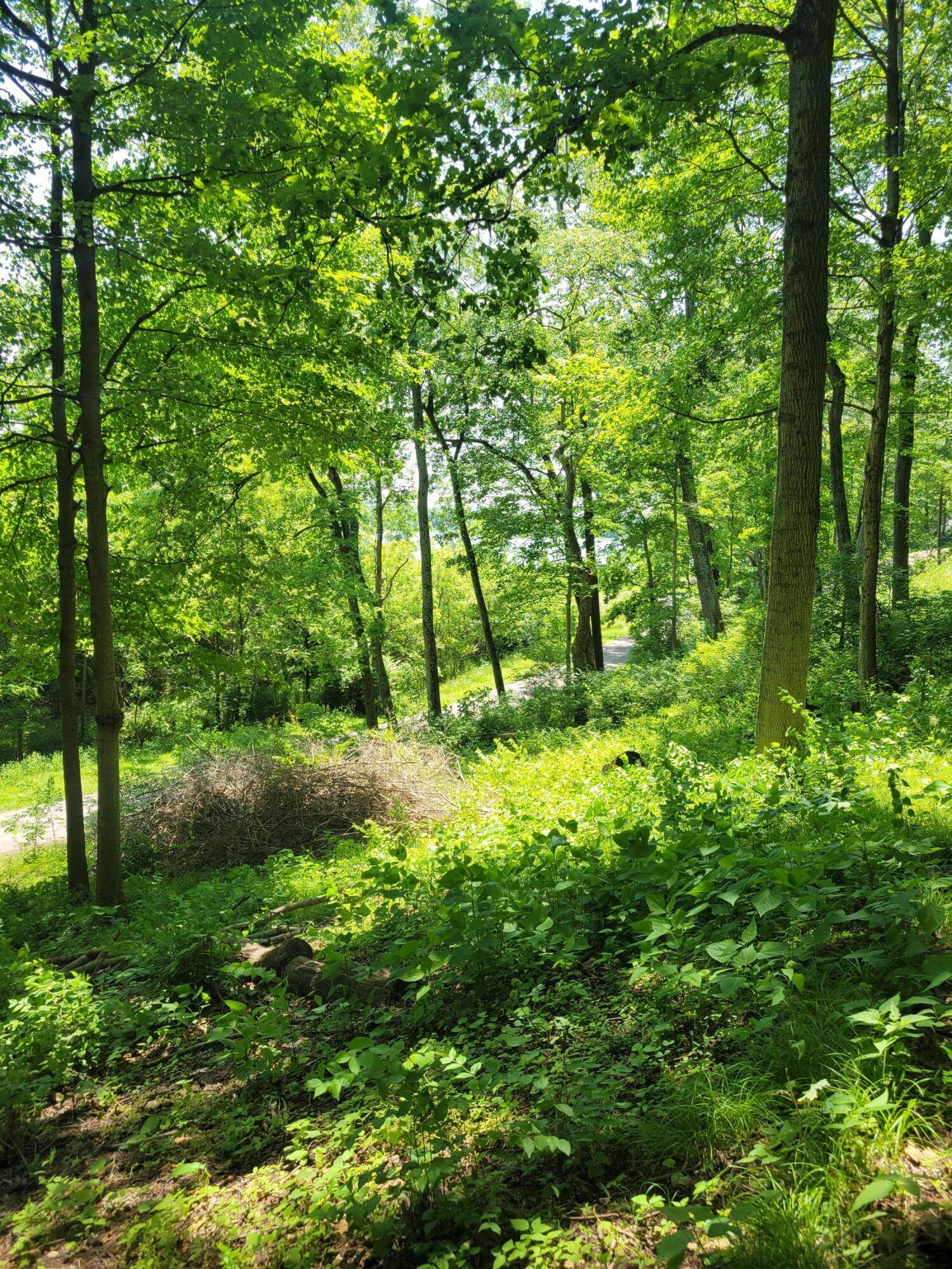 Buckeye Lake, OH 43008,0 Avon Place #410