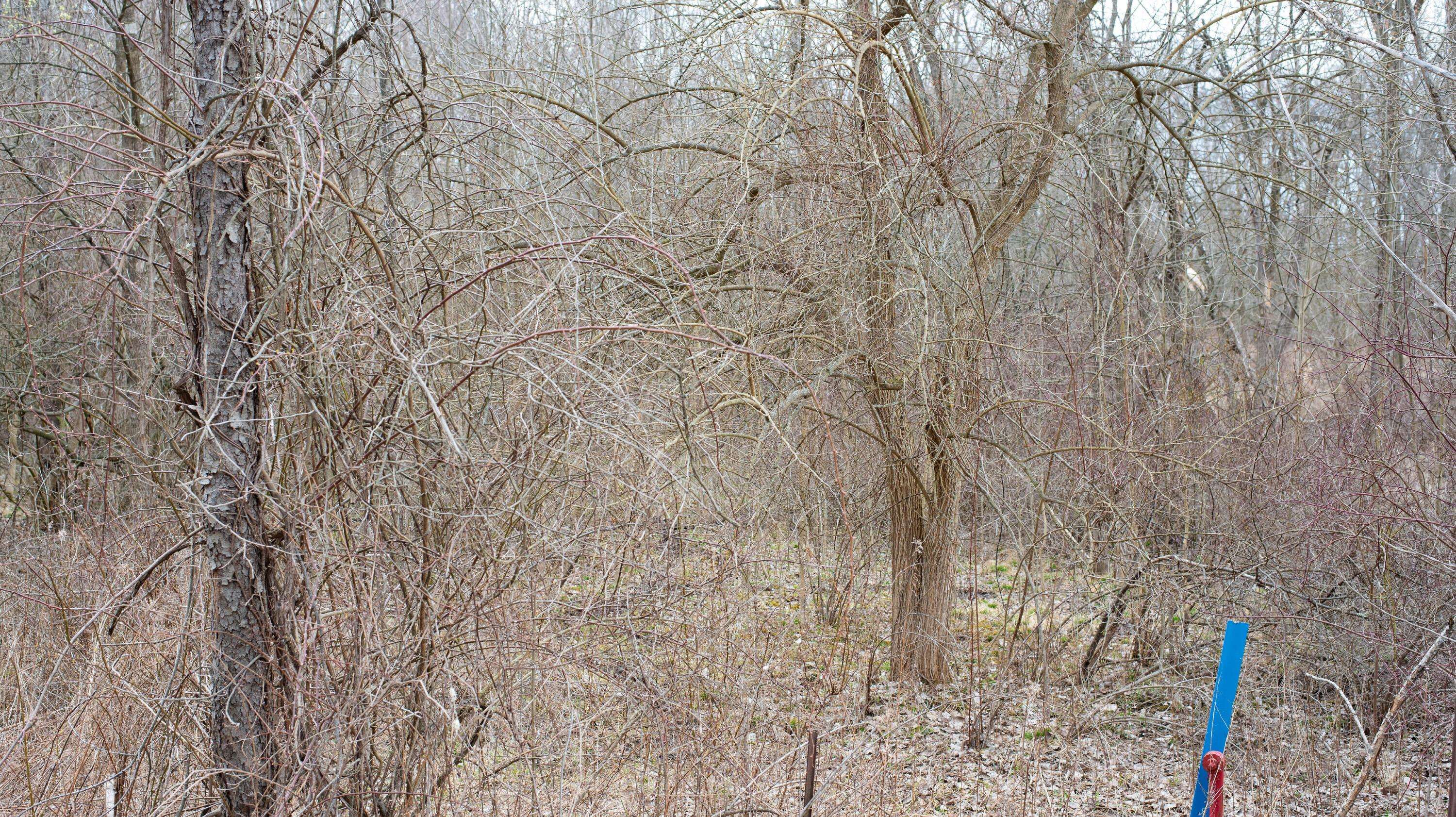 Fredericktown, OH 43019,0 County Road 183