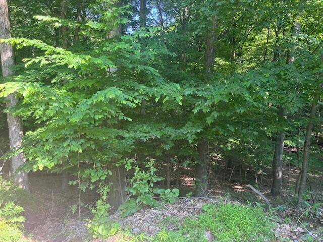 Howard, OH 43028,98 Valley Court