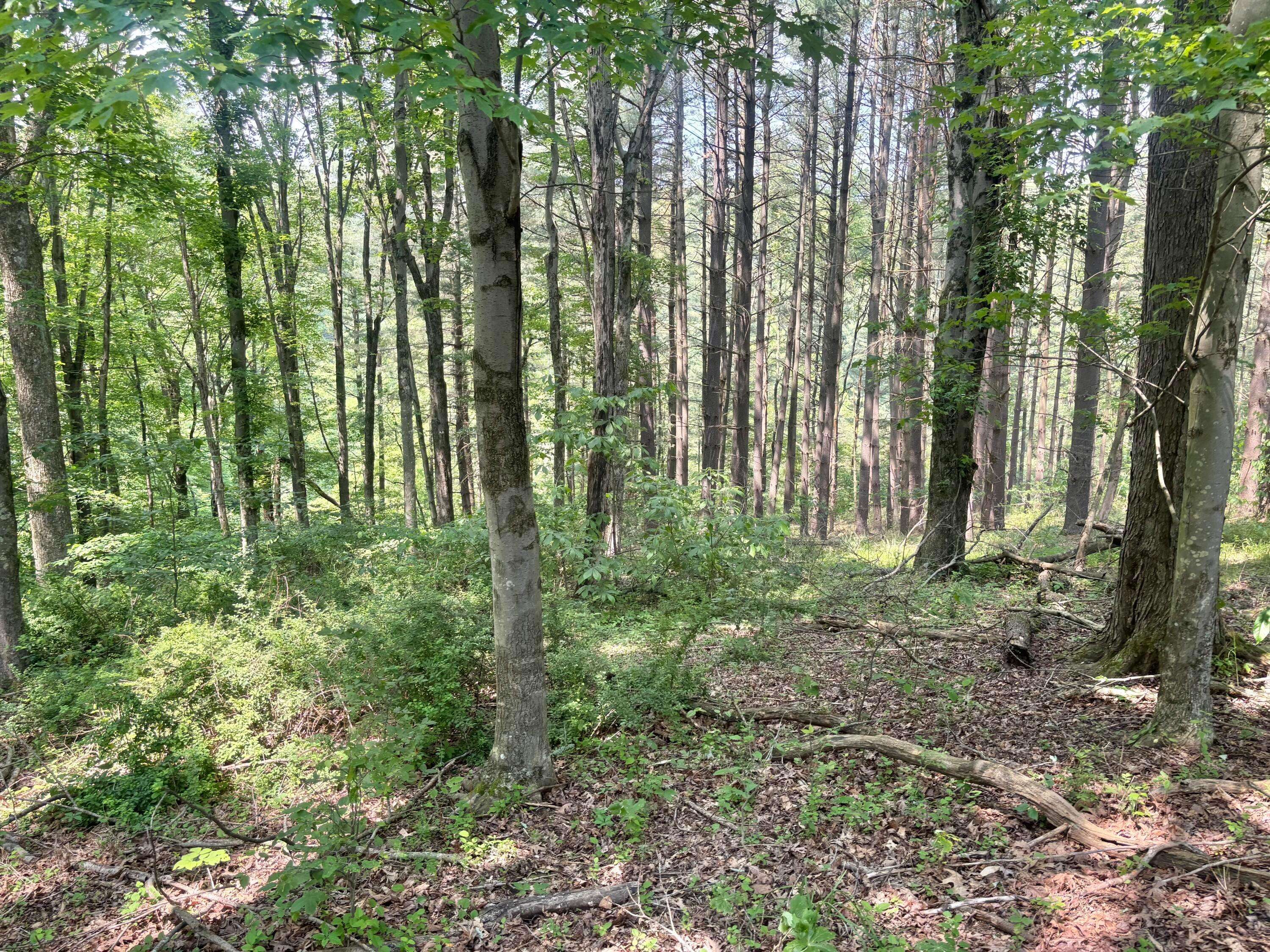 Logan, OH 43138,546 Edgehill Circle