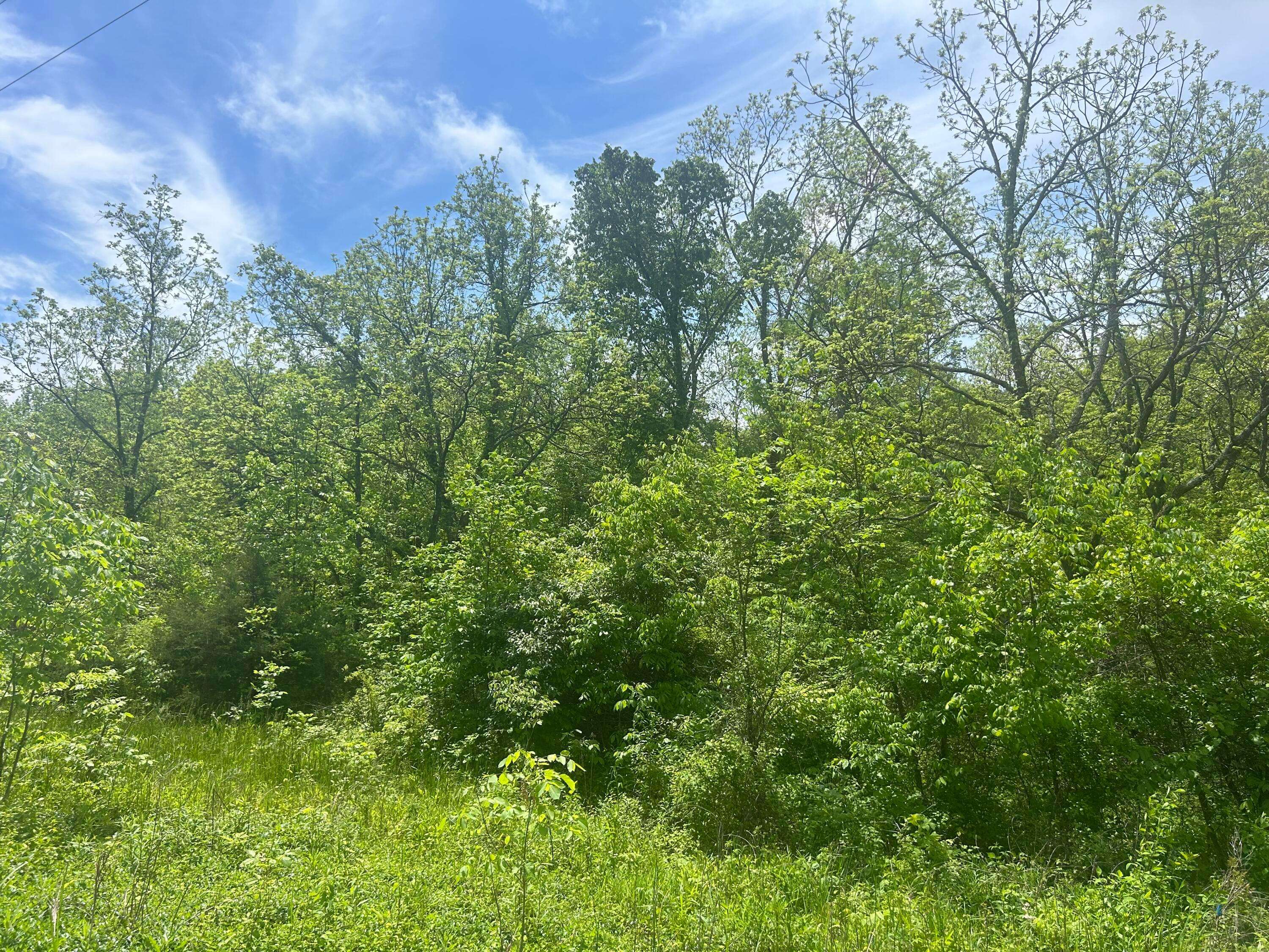 Waverly, OH 45690,0 Buchanan Road