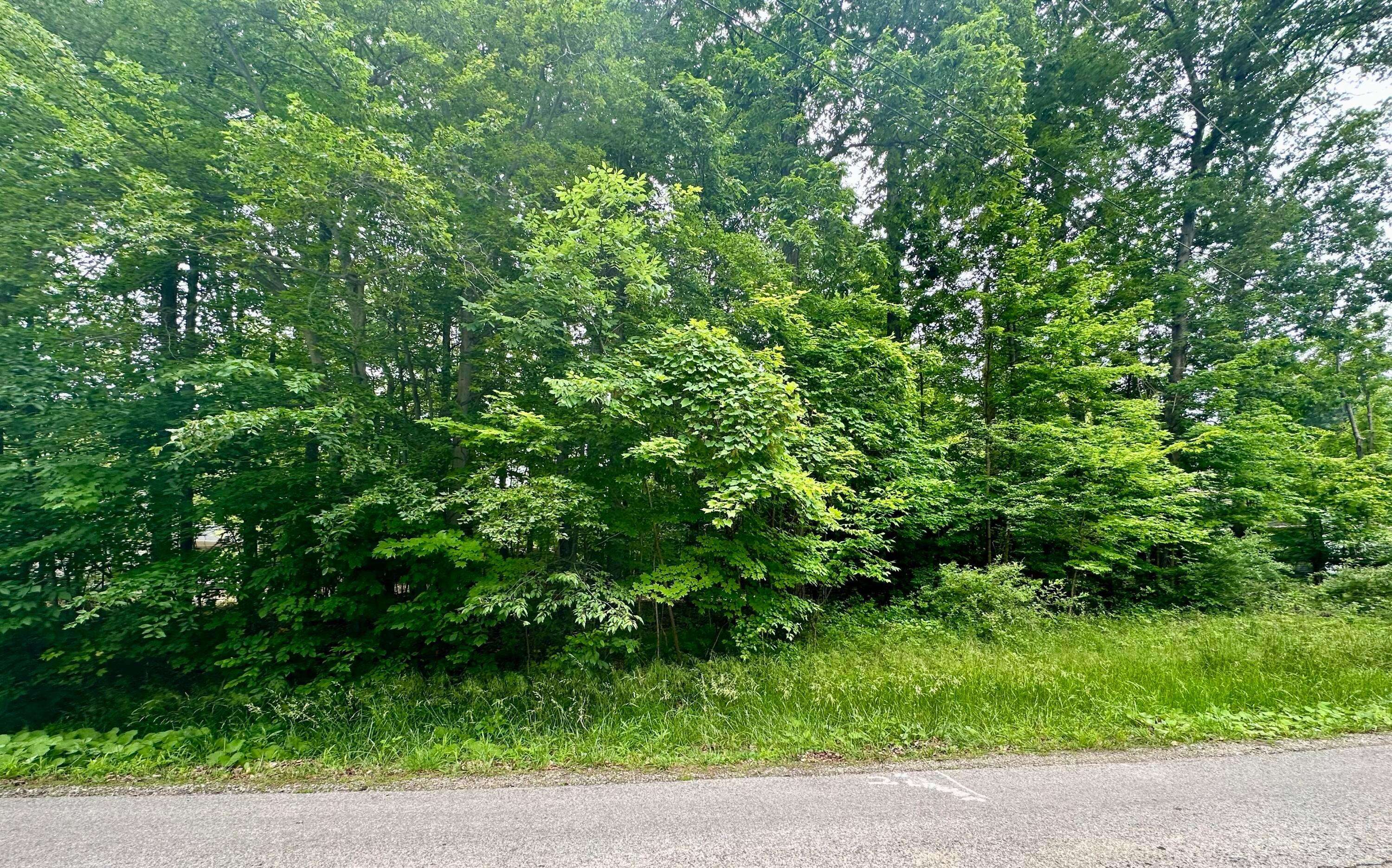Mount Gilead, OH 43338,7326 St. Rt. 19 Unit 10 Lot 46&47