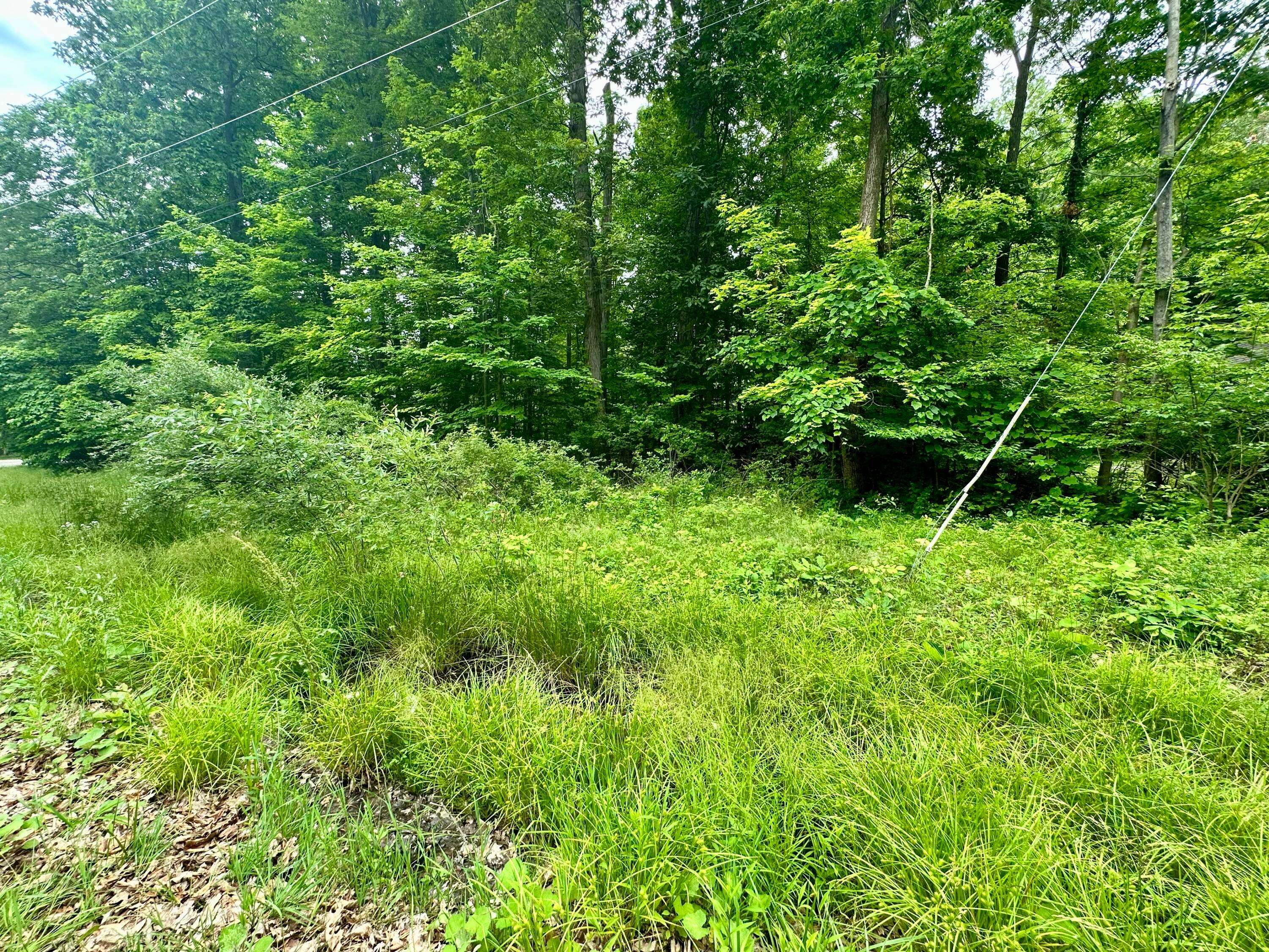 Mount Gilead, OH 43338,7326 St. Rt. 19 Unit 10 Lot 46&47