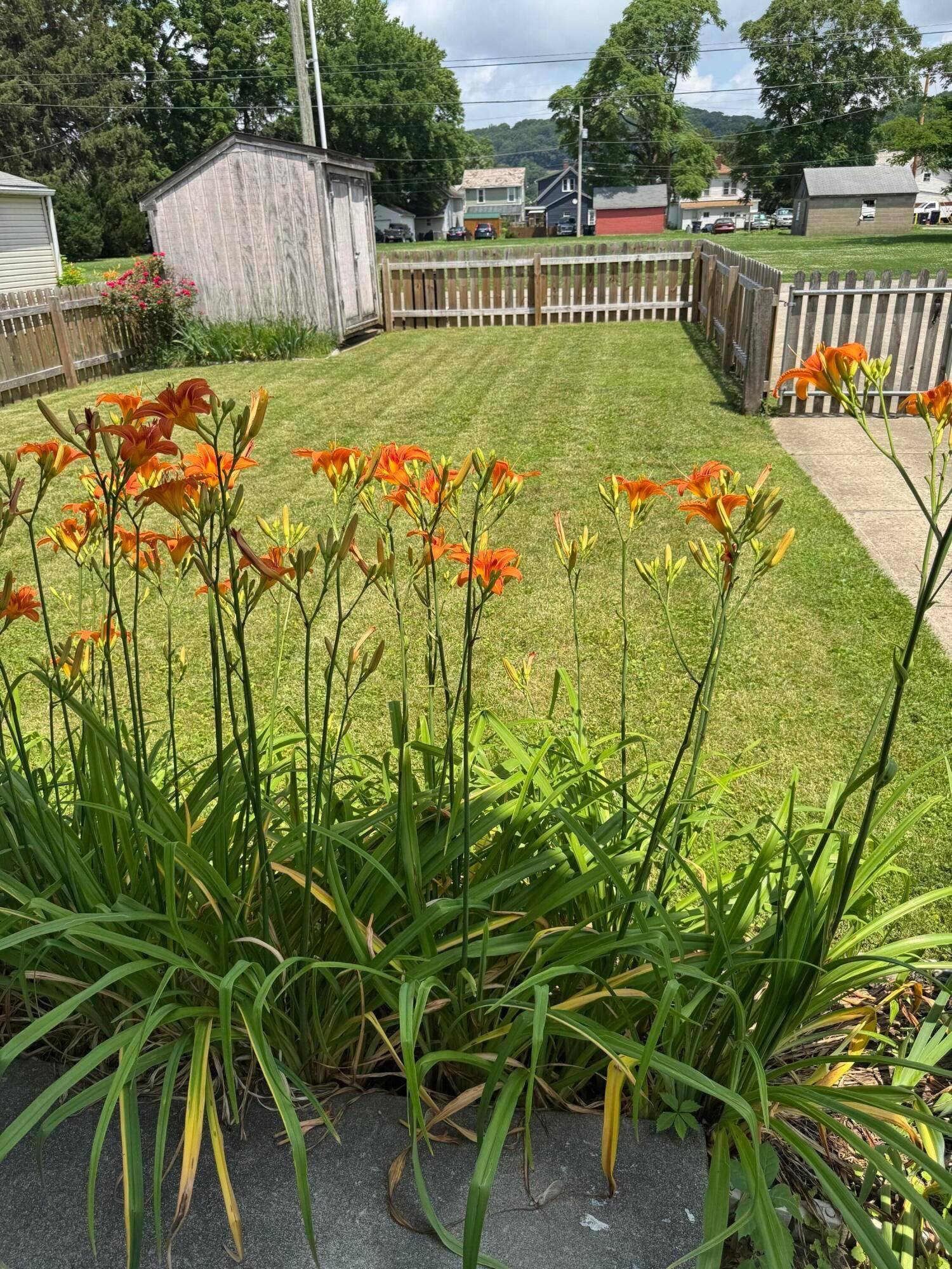 Lancaster, OH 43130,123 Arnold Avenue