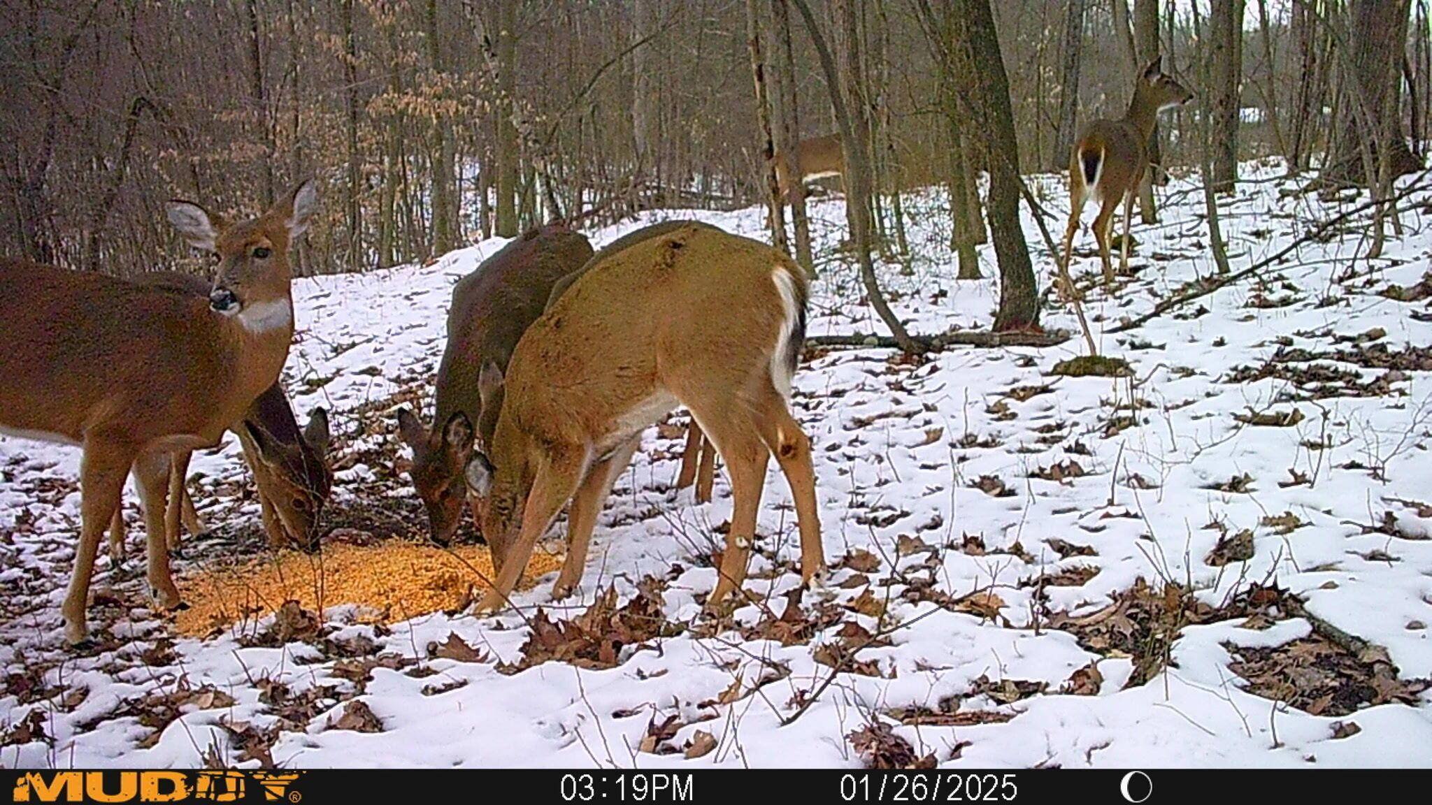Frazeysburg, OH 43822,9990 Shannon Road