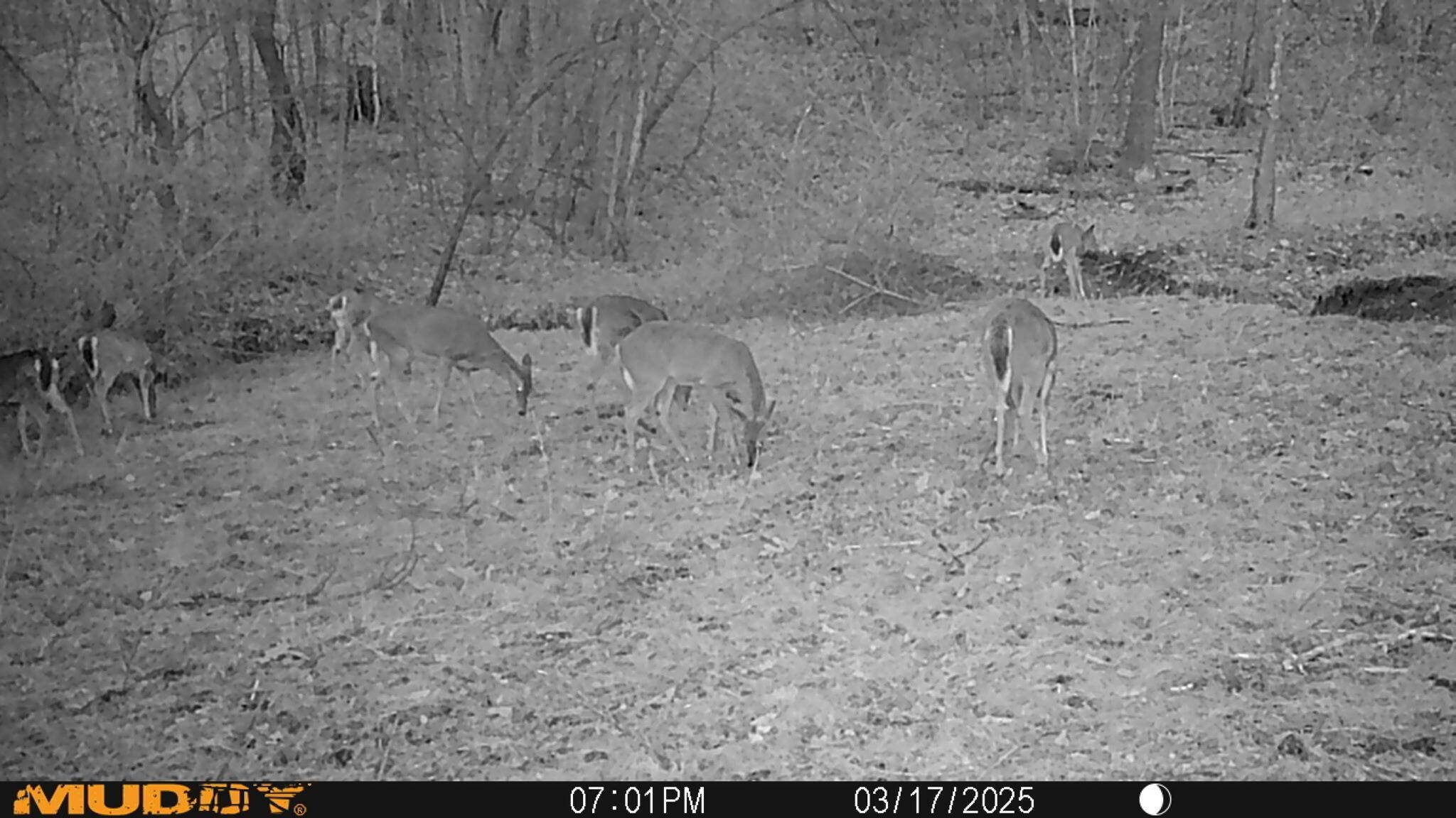 Frazeysburg, OH 43822,9990 Shannon Road
