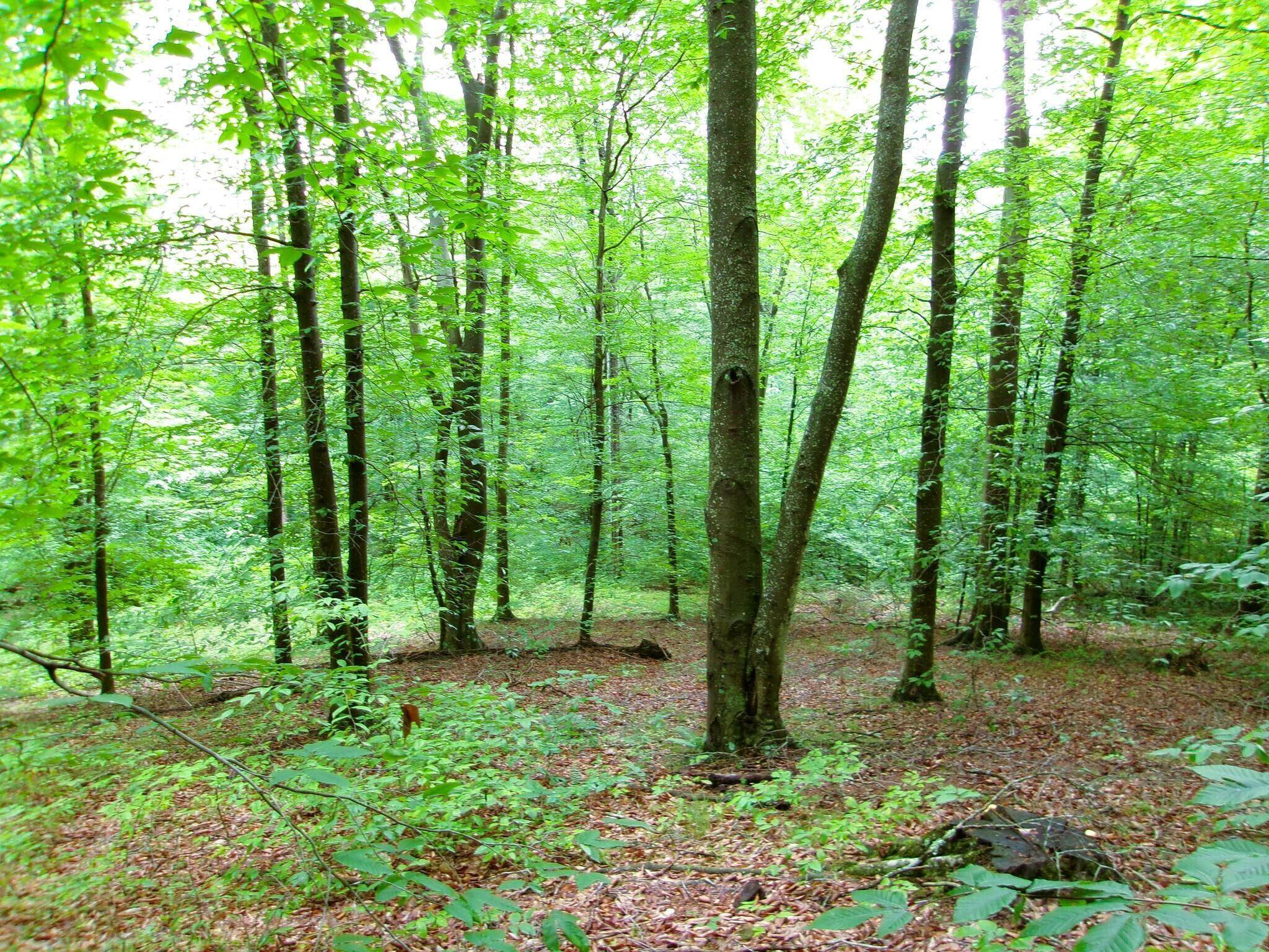 New Straitsville, OH 43766,10030 Tucker Road