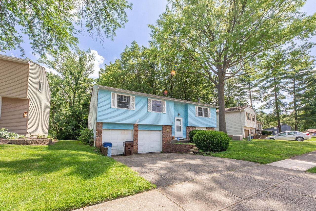 Westerville, OH 43081,4187 Camellia Court
