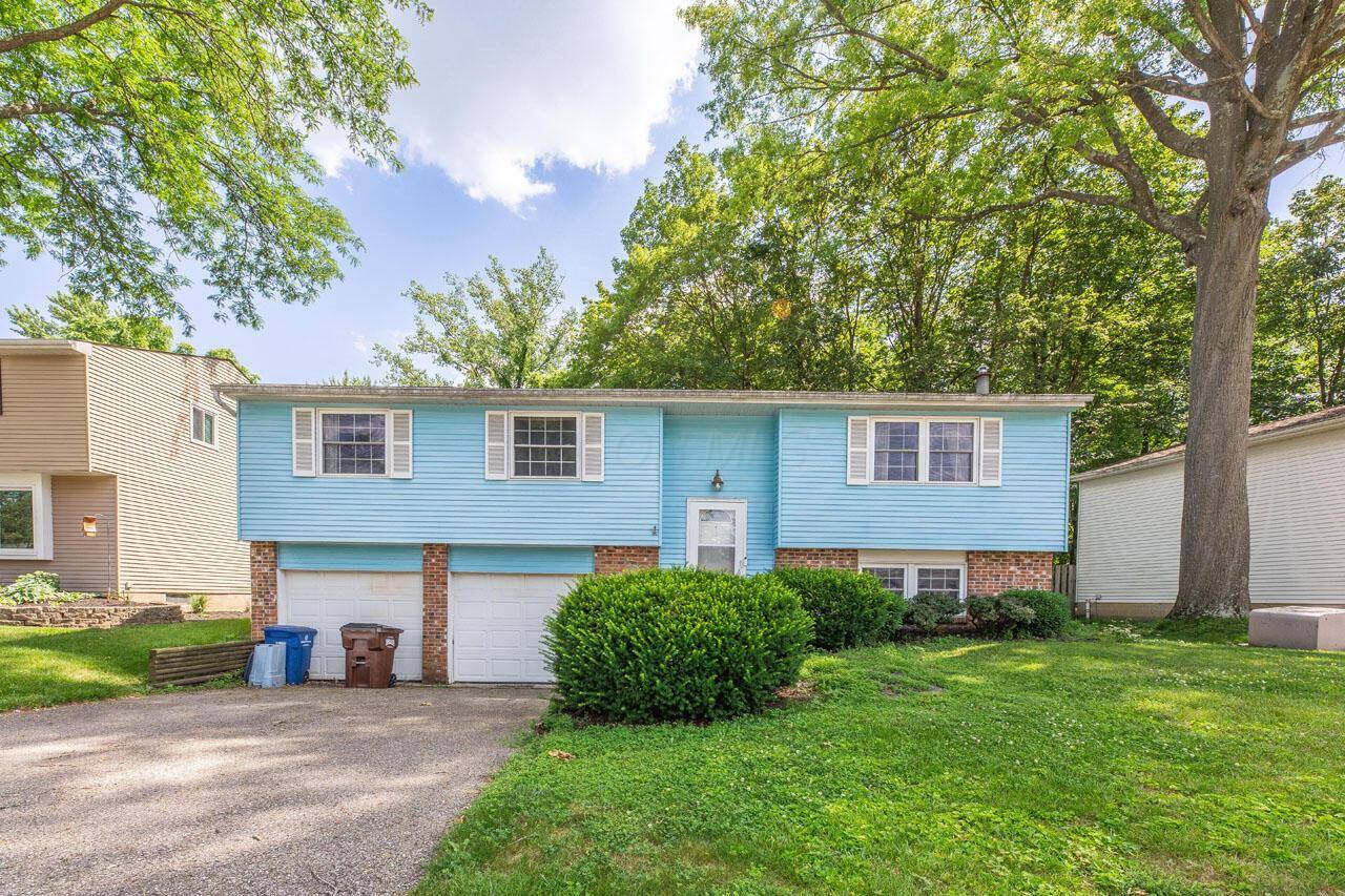 Westerville, OH 43081,4187 Camellia Court