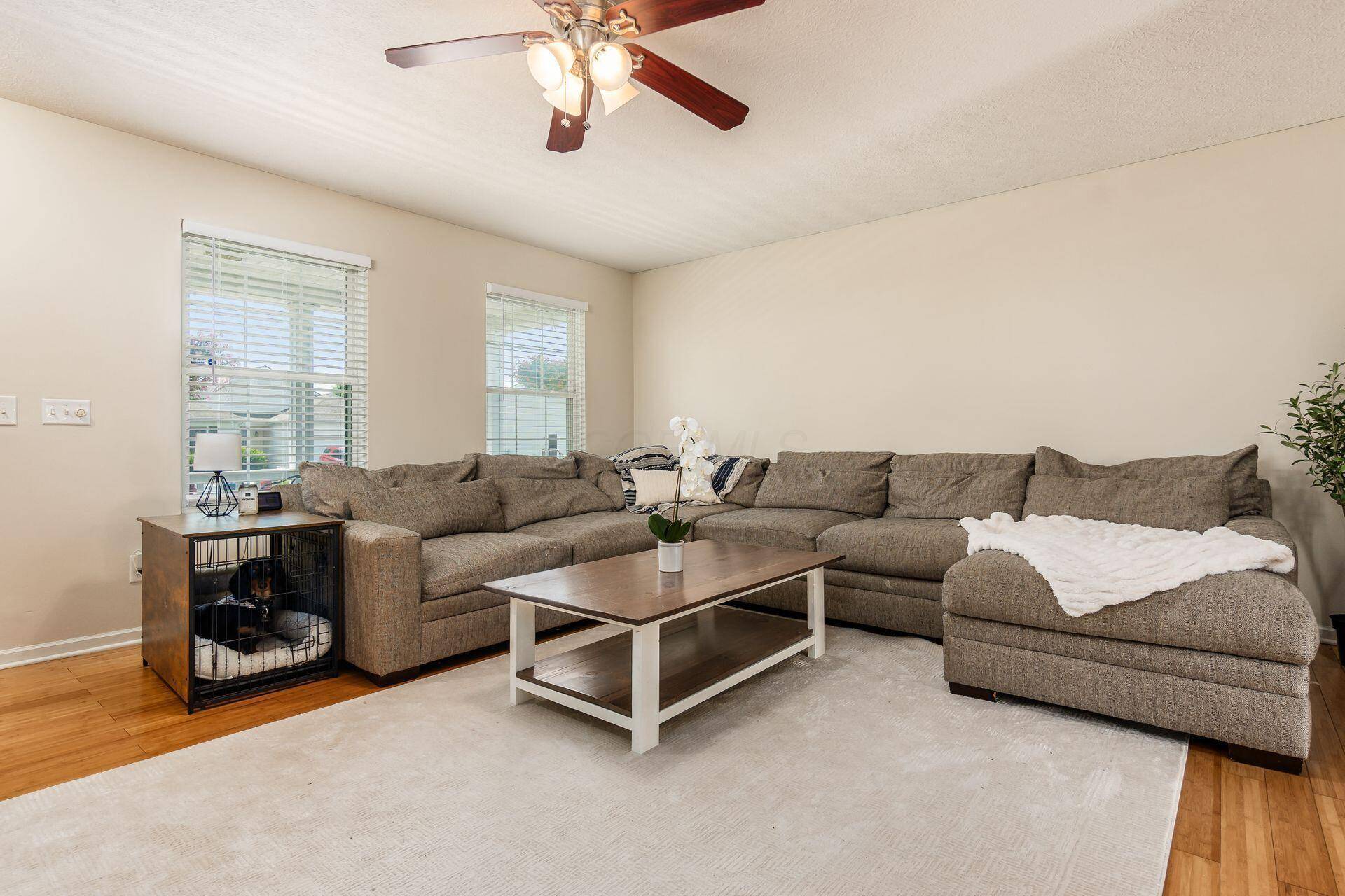 Pickerington, OH 43147,402 Wooster Street
