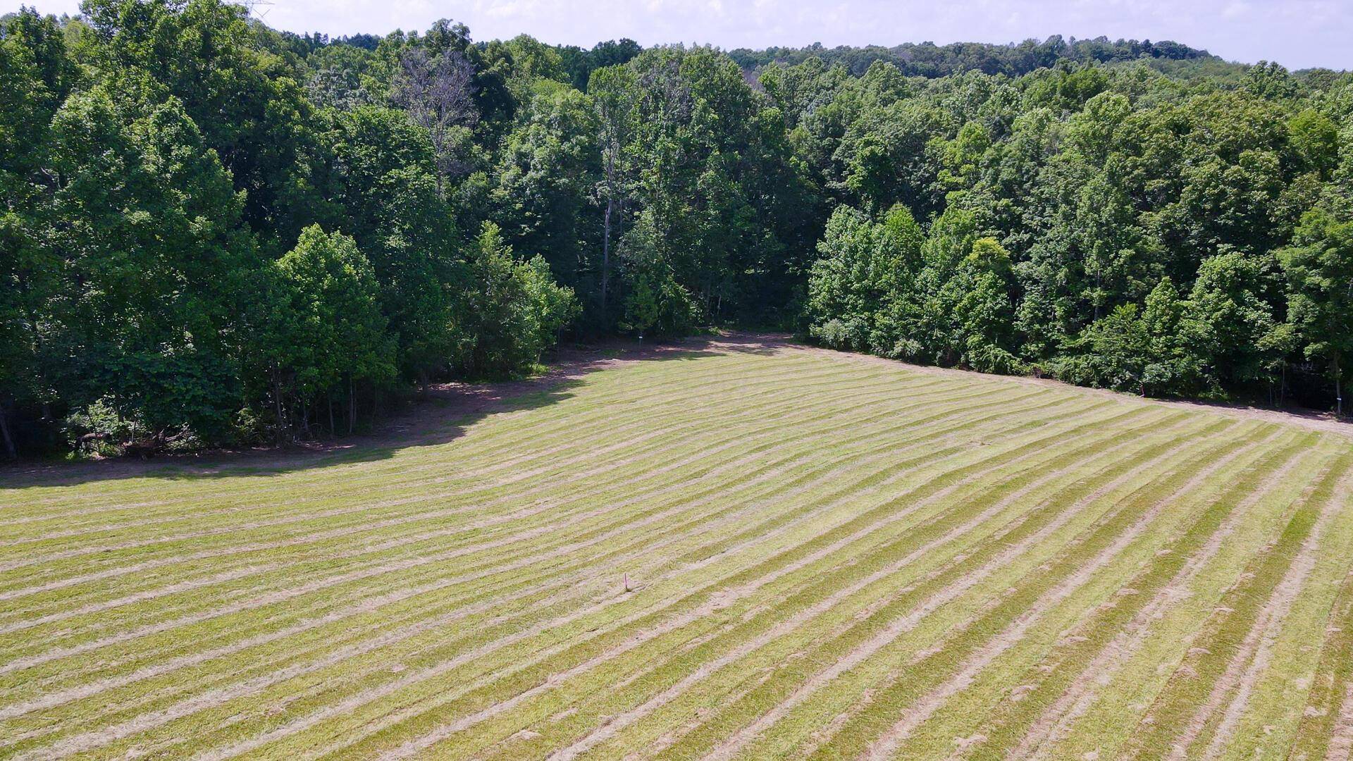 Vinton, OH 45686,0 Wolf Hill Road #(Tract 3 Wolf Hill)
