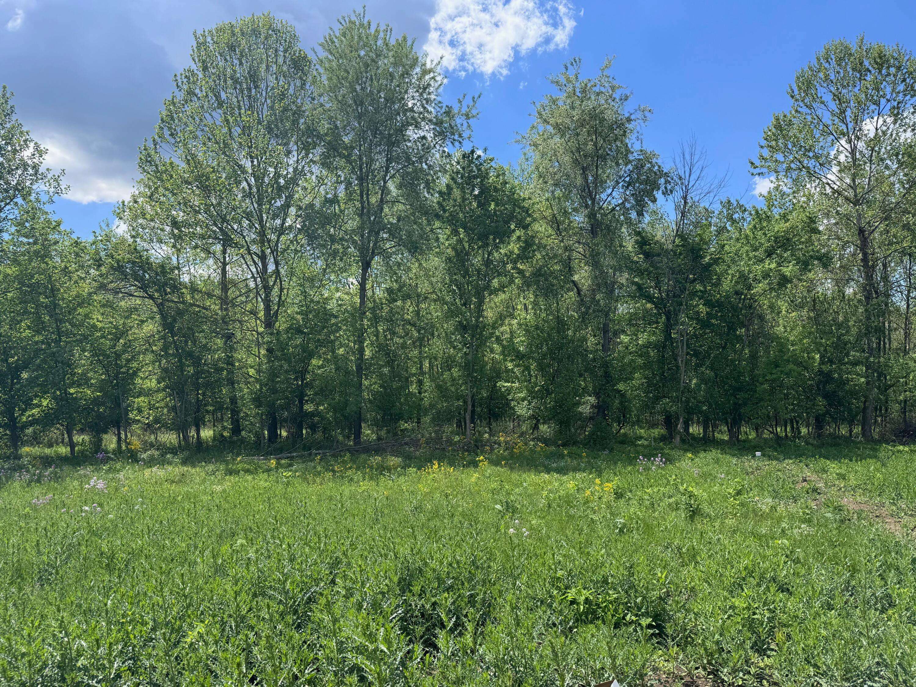 Delaware, OH 43015,6238 Taggart Road