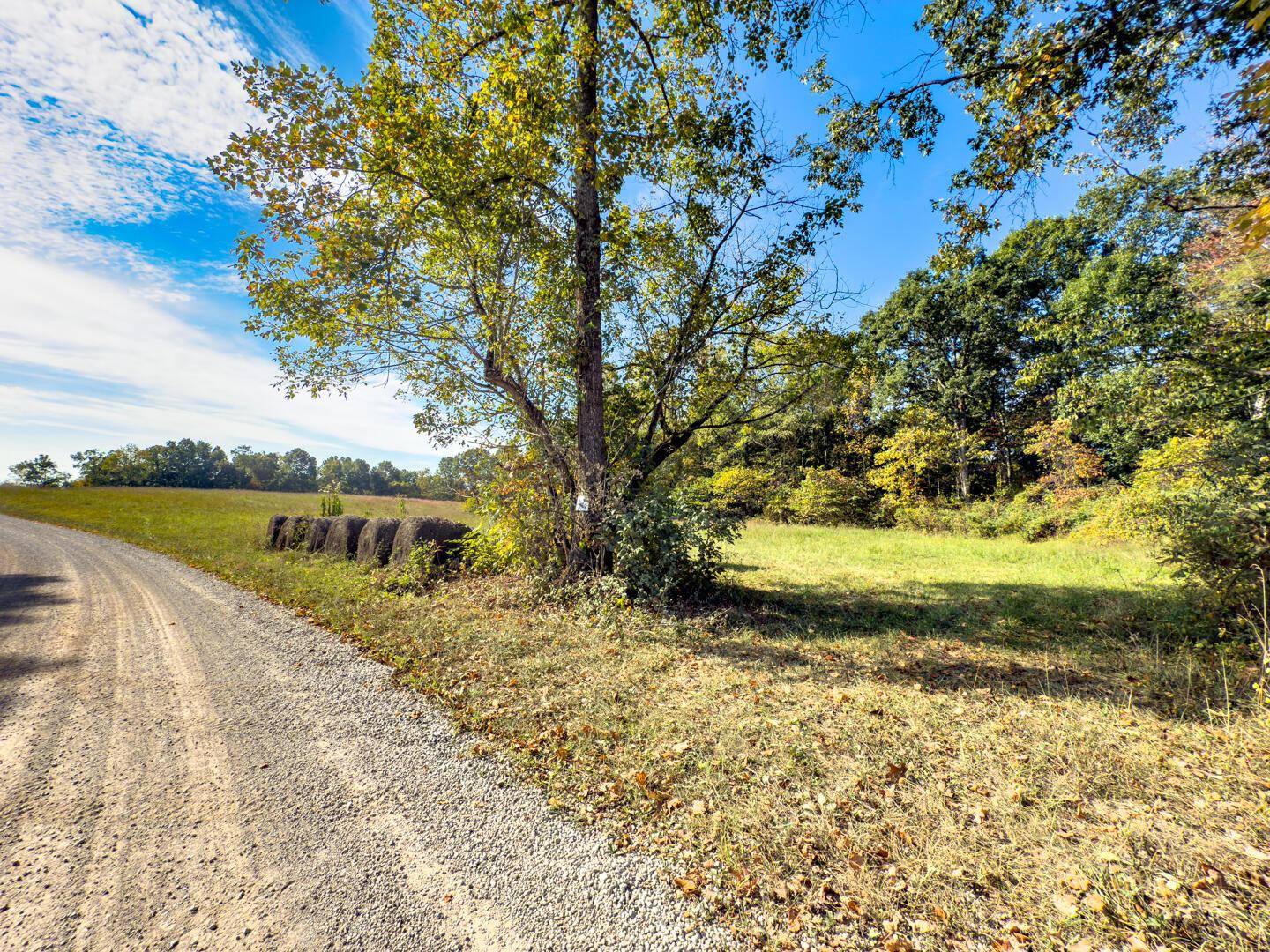 Wilkesville, OH 45695,1 Perry Ridge Rd