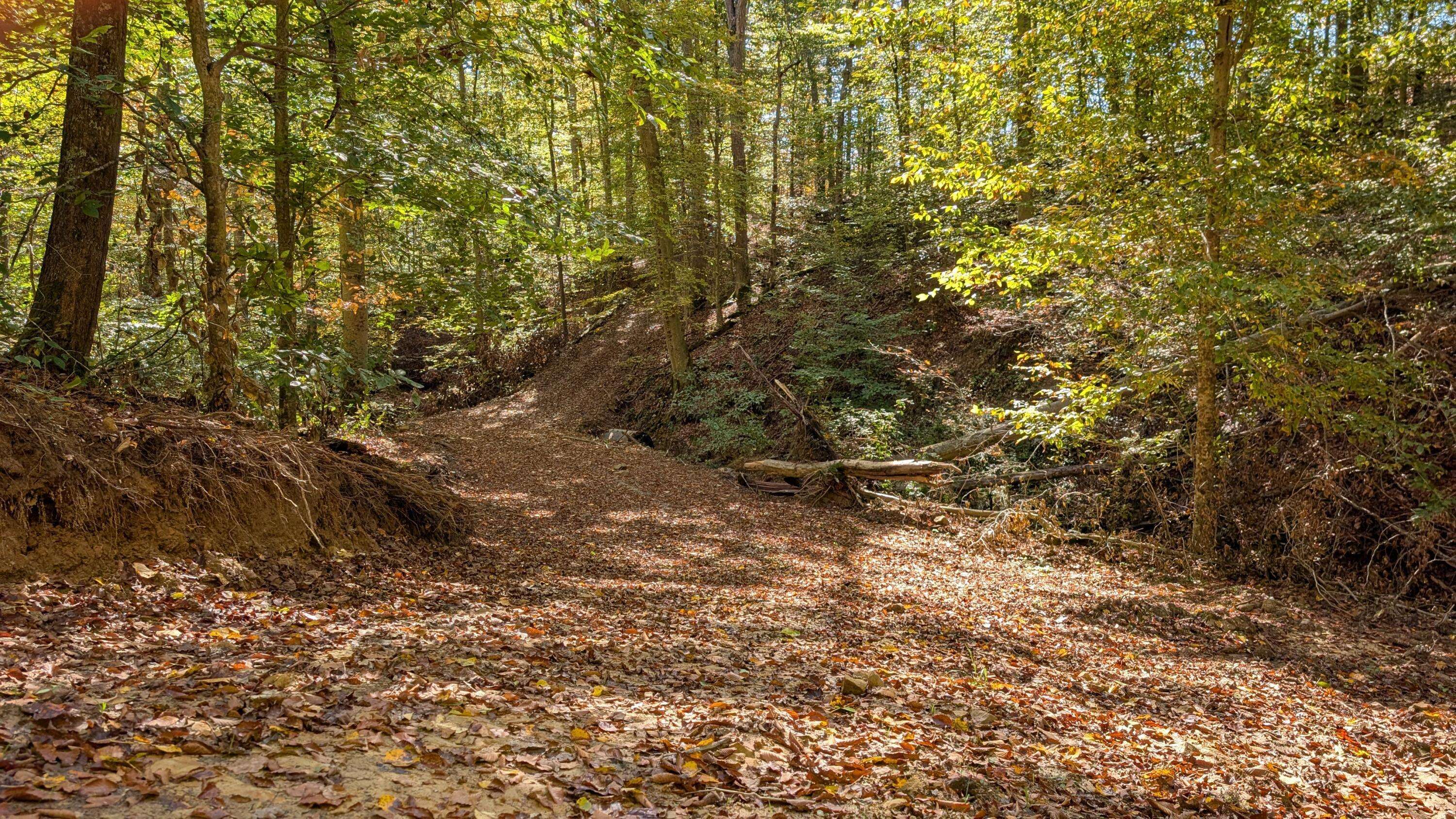 New Lexington, OH 43764,8649 Portie-Flamingo Road