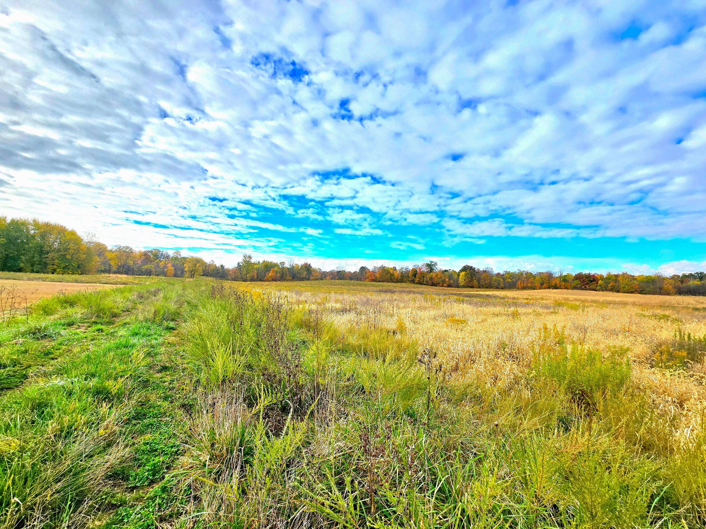 Cardington, OH 43315,6054 Township Road 183