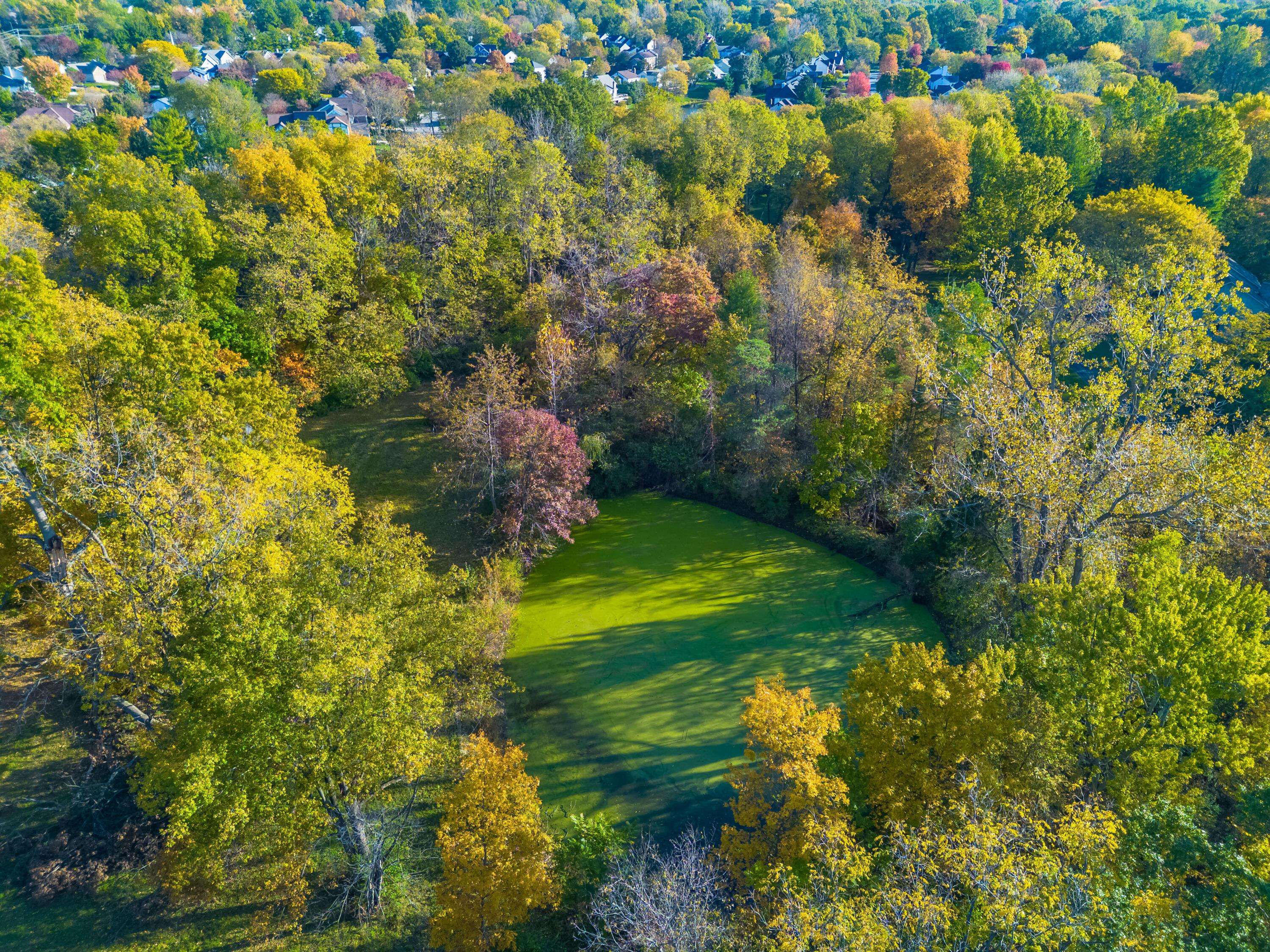 Columbus, OH 43230,4220 E Johnstown Road