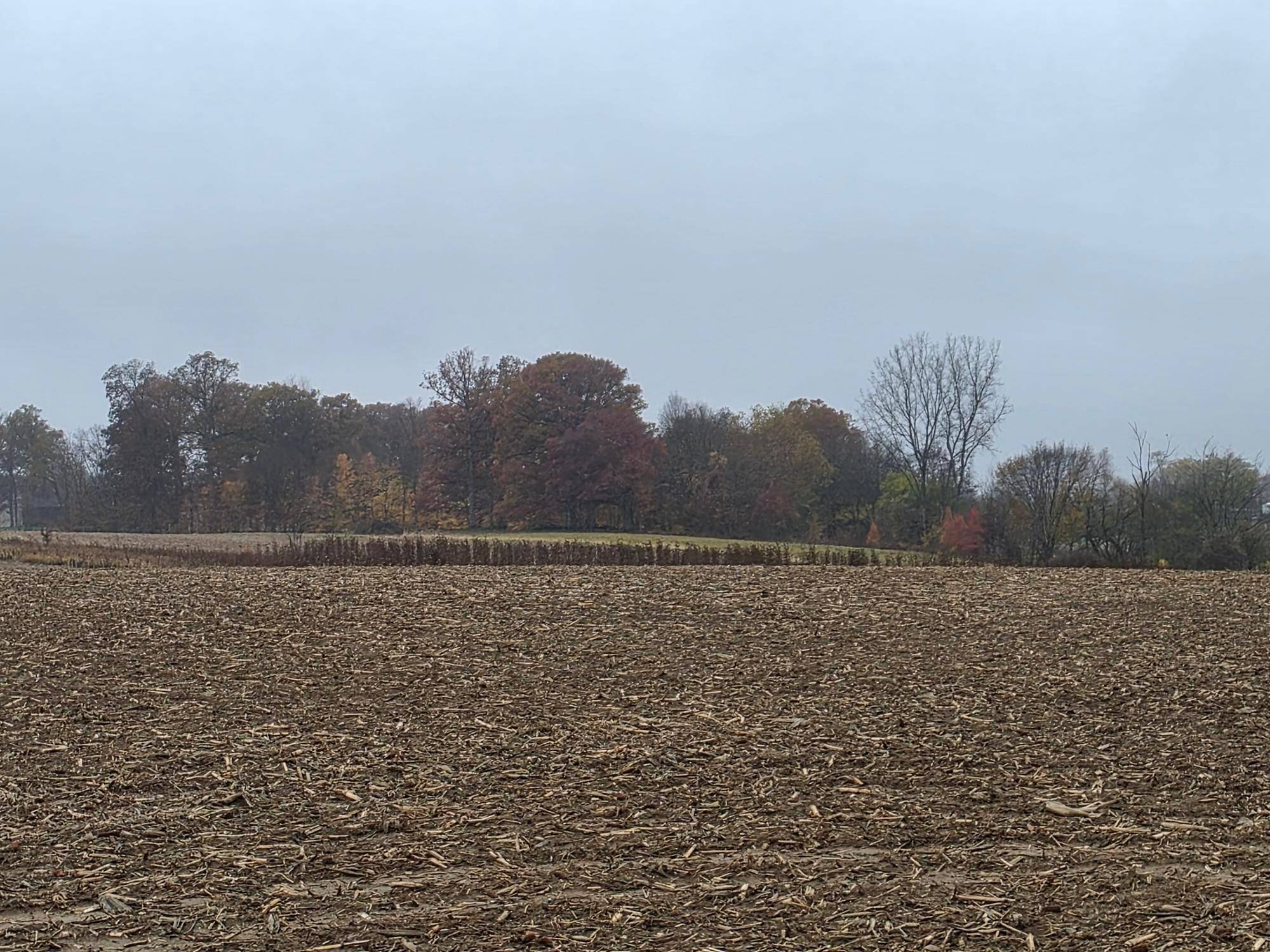 Plain City, OH 43064,9513 State Route 736