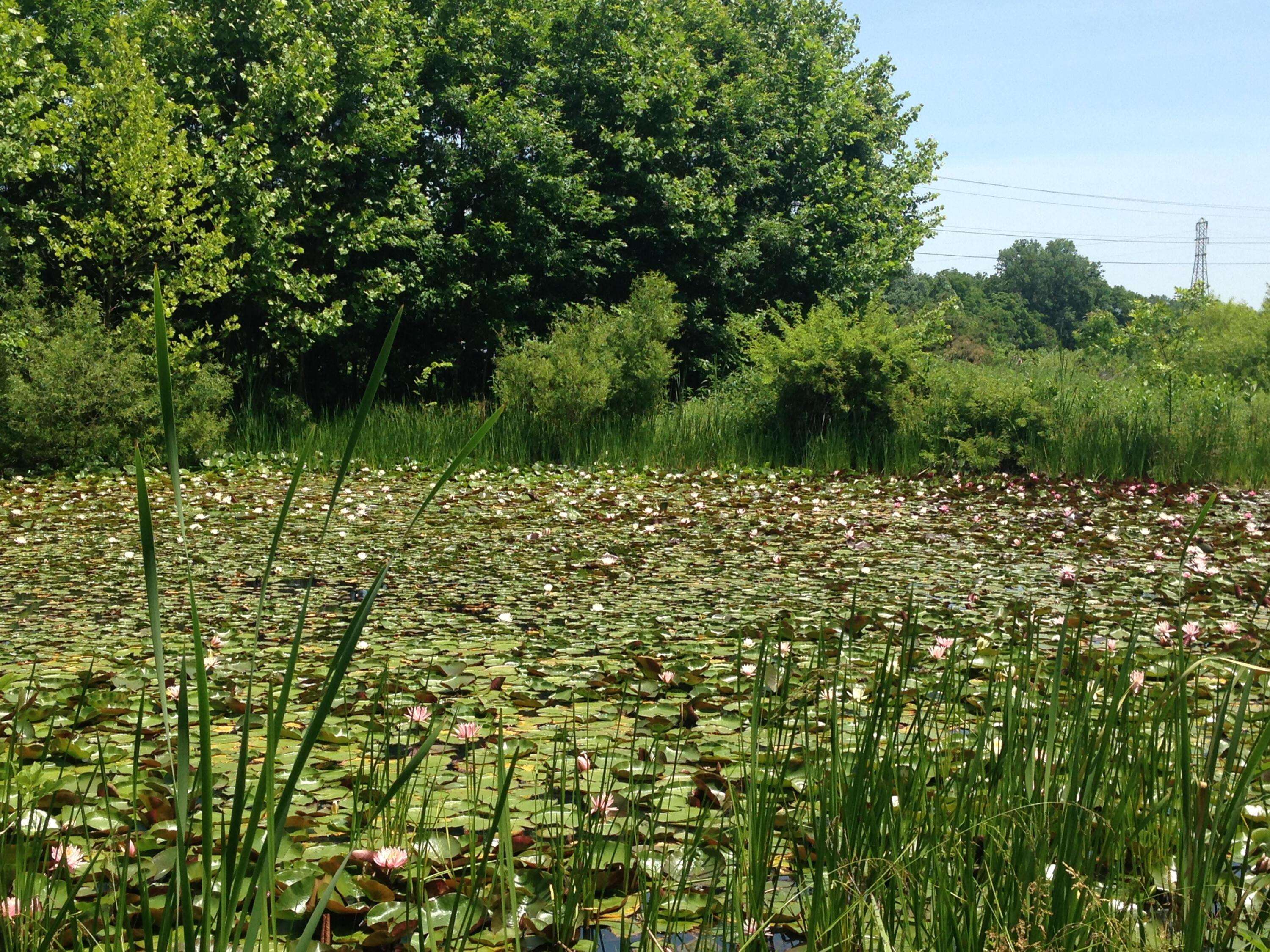 Rockbridge, OH 43149,25779 Bailey Road