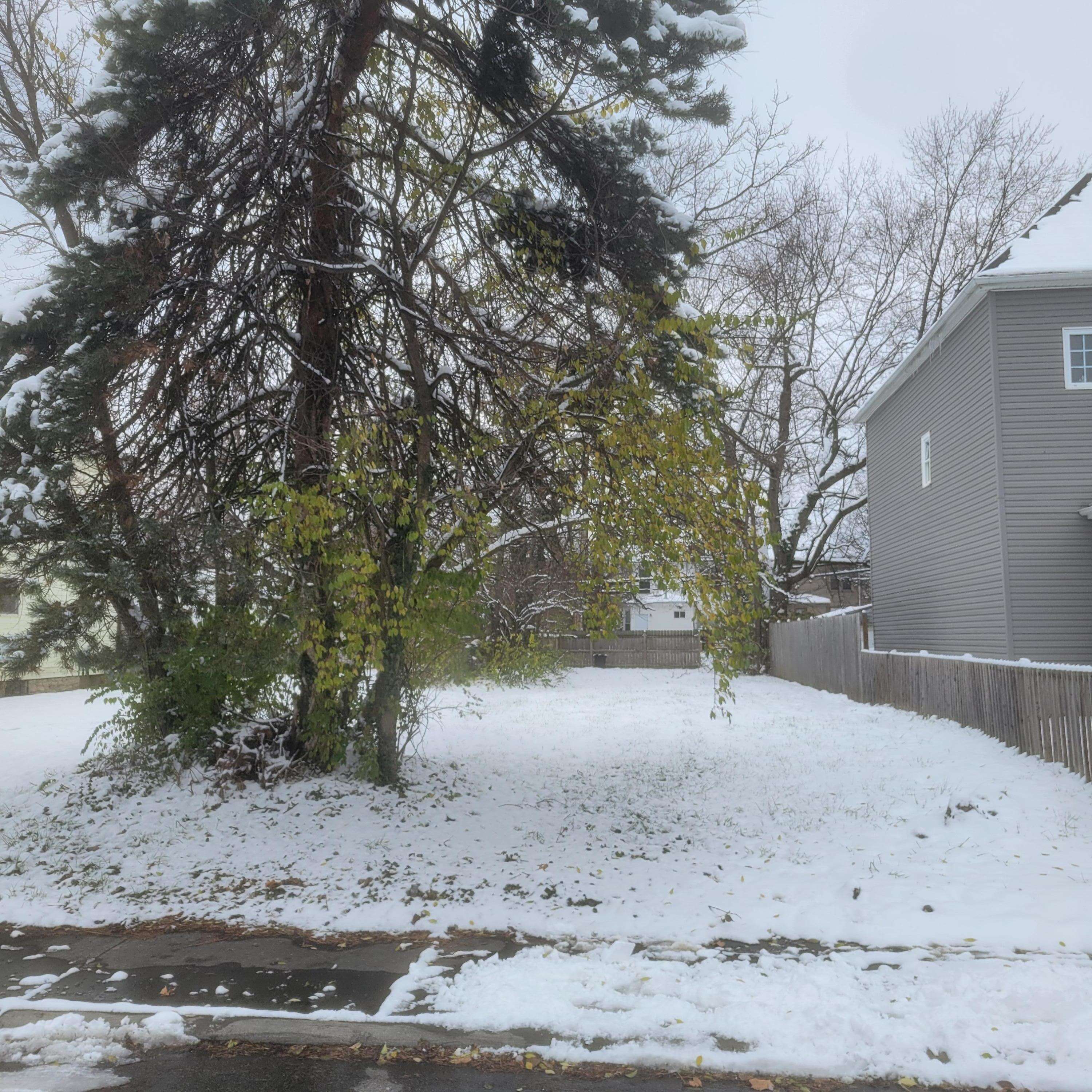 Columbus, OH 43203,389 N Monroe Avenue