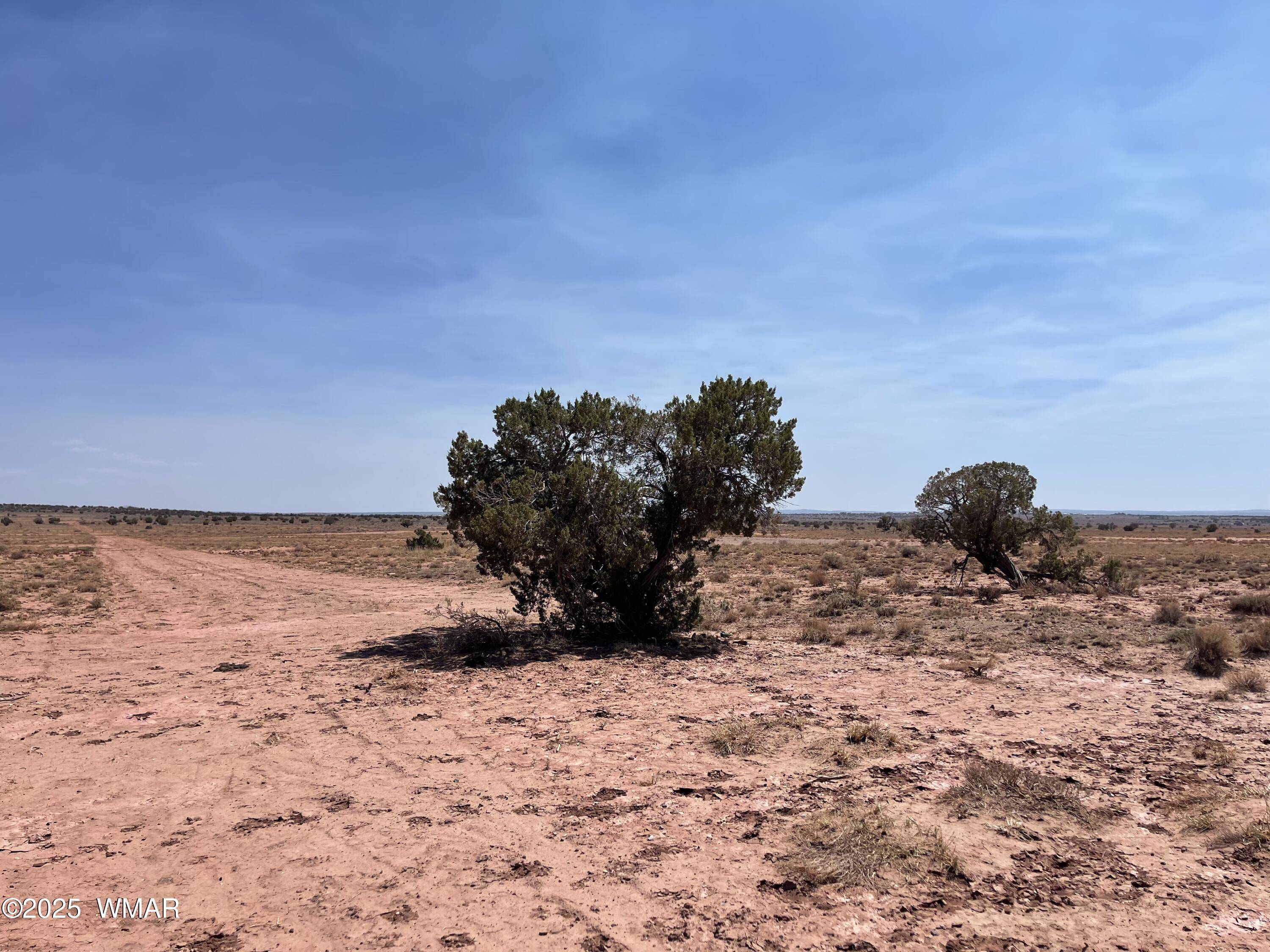 Snowflake, AZ 85937,8191 E Concho Highway  Parcel E #Parcel E