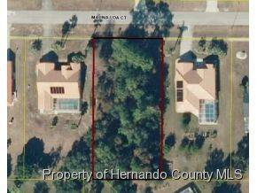 Spring Hill, FL 34609,13440 Mauna Loa Court