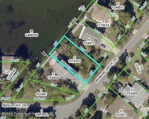 Hernando Beach, FL 34607,0 Minnow Creek (Lot 3)